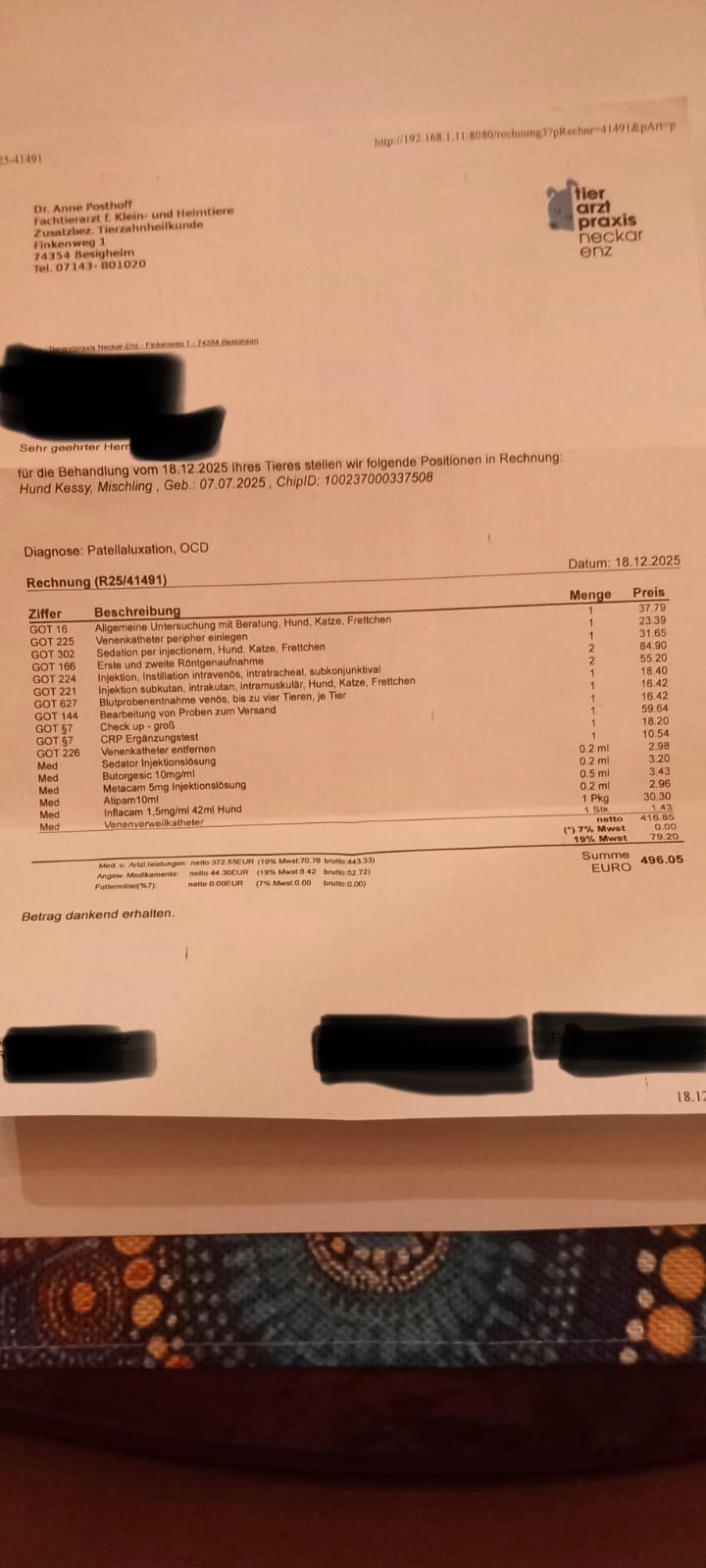 Hilfe für Kessy – Dringende OP nach schwerer Patellaluxation campaign photo, 7 of 8