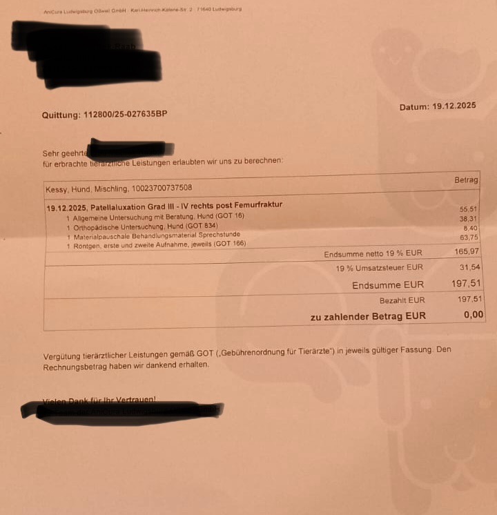Hilfe für Kessy – Dringende OP nach schwerer Patellaluxation campaign photo, 2 of 8