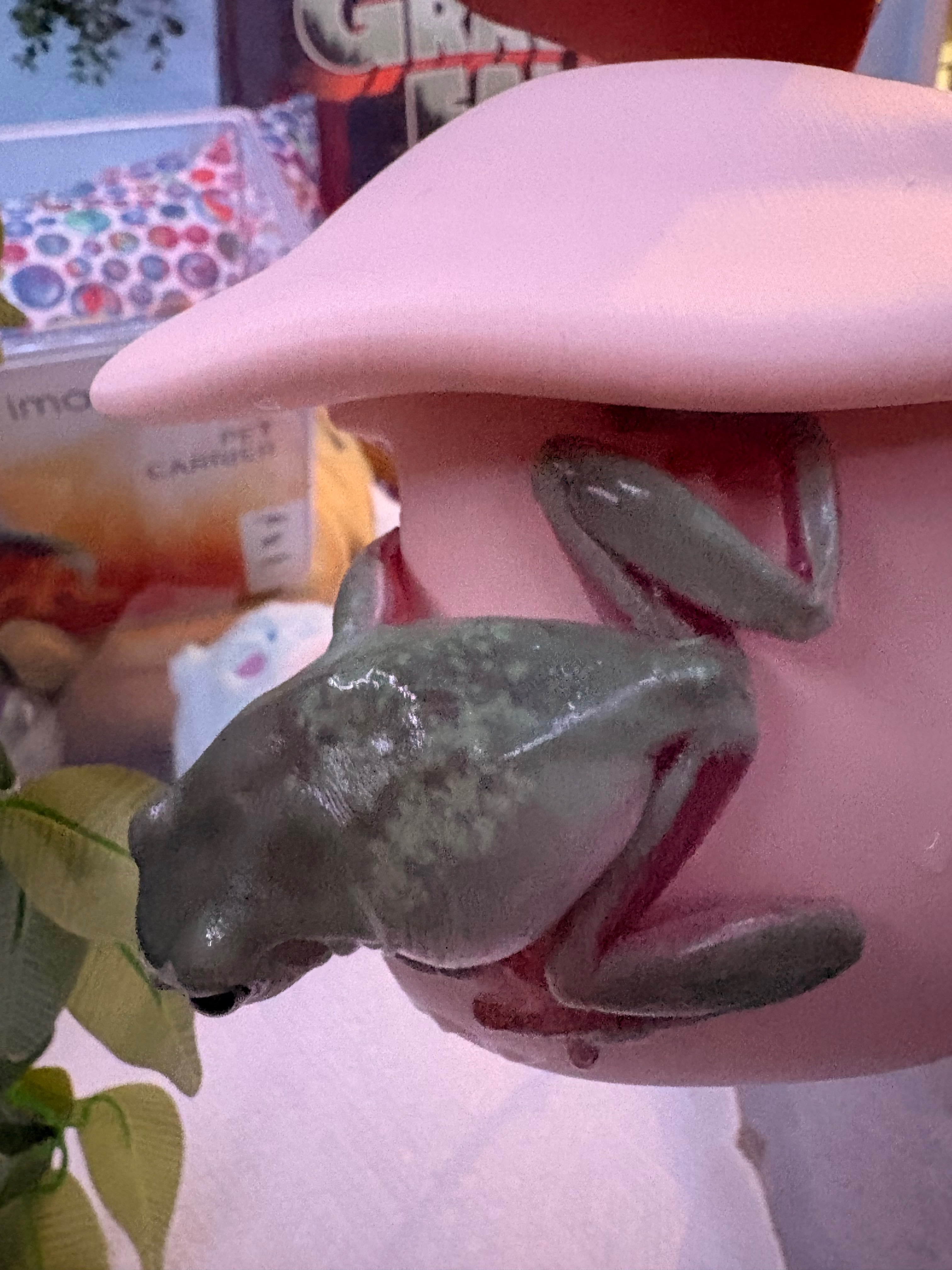 Help Zucchini the Frog Get the Right Treatment campaign photo, 4 of 7