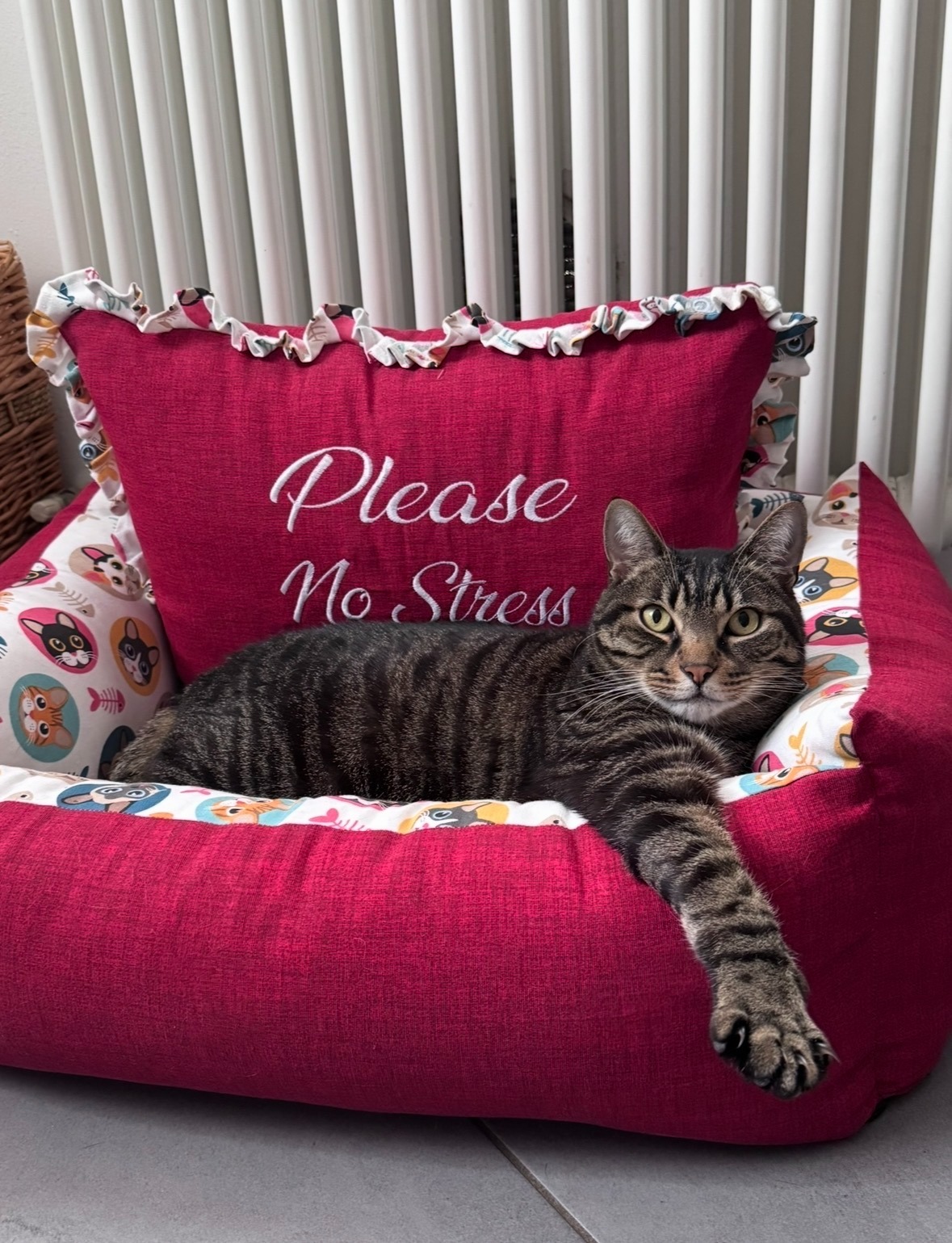 Aiutami a salvare Mel! Help me pay for Mel's Intensive care campaign photo, 7 of 8