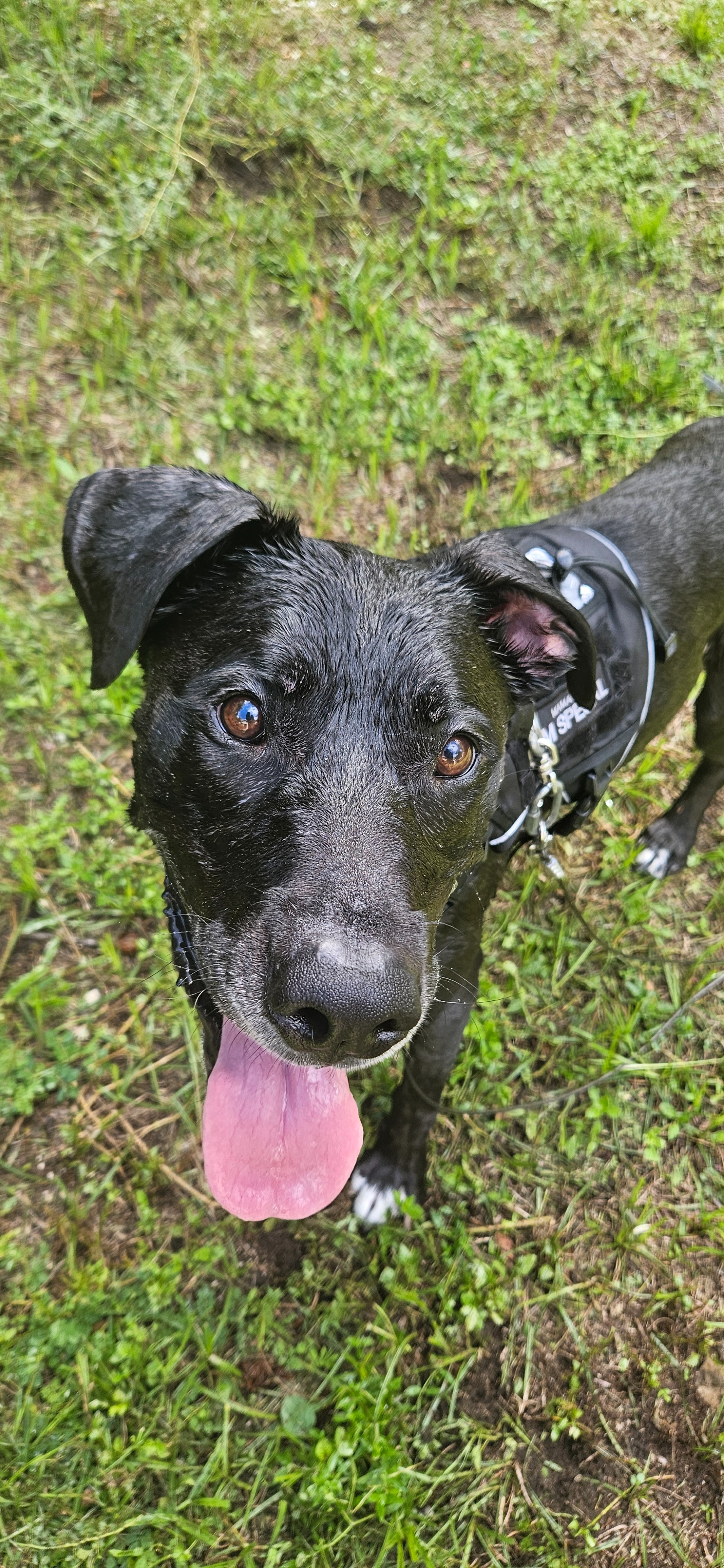 Help Silas Get the Biopsy He Needs campaign photo, 5 of 6
