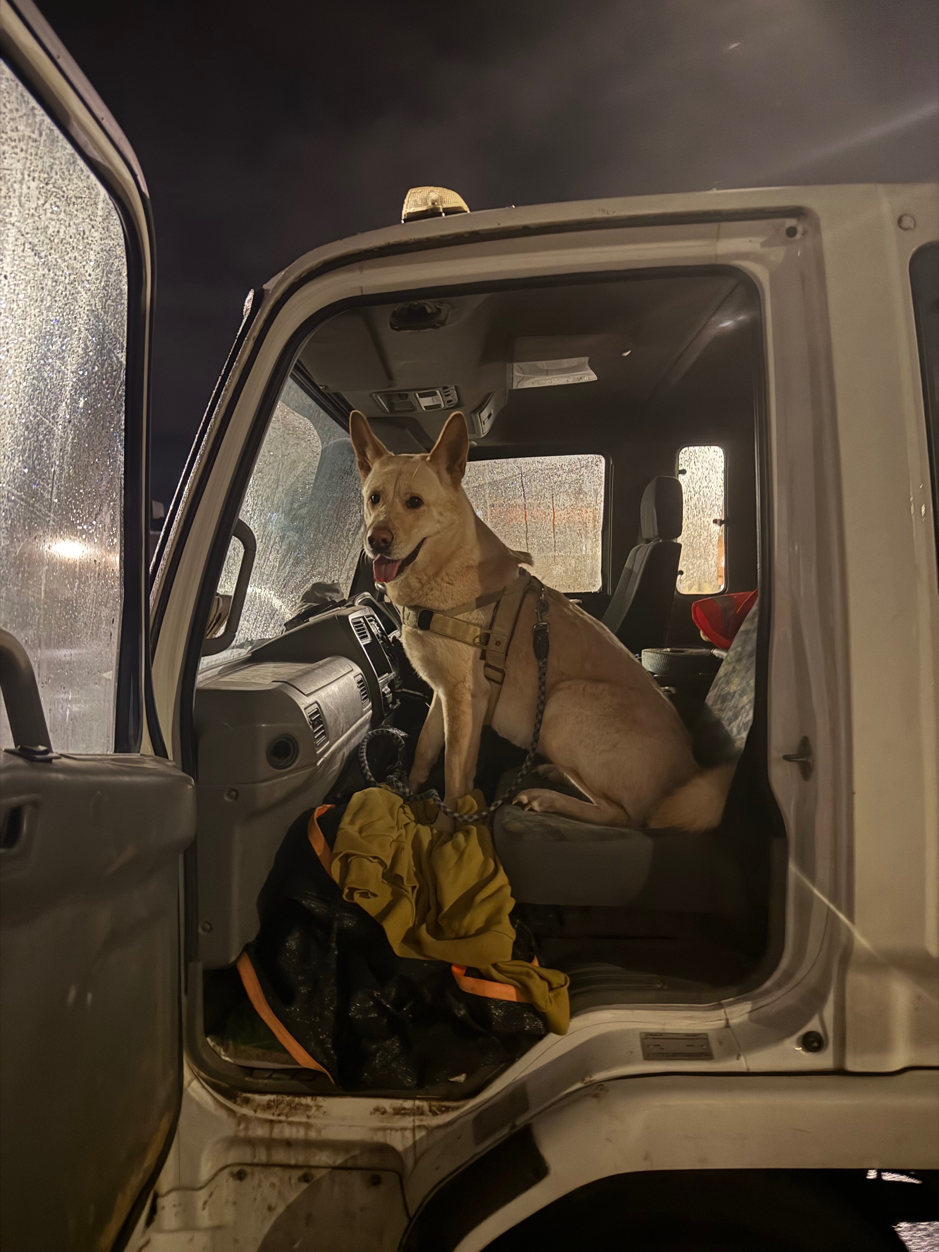 Nala needs us campaign photo, 6 of 7