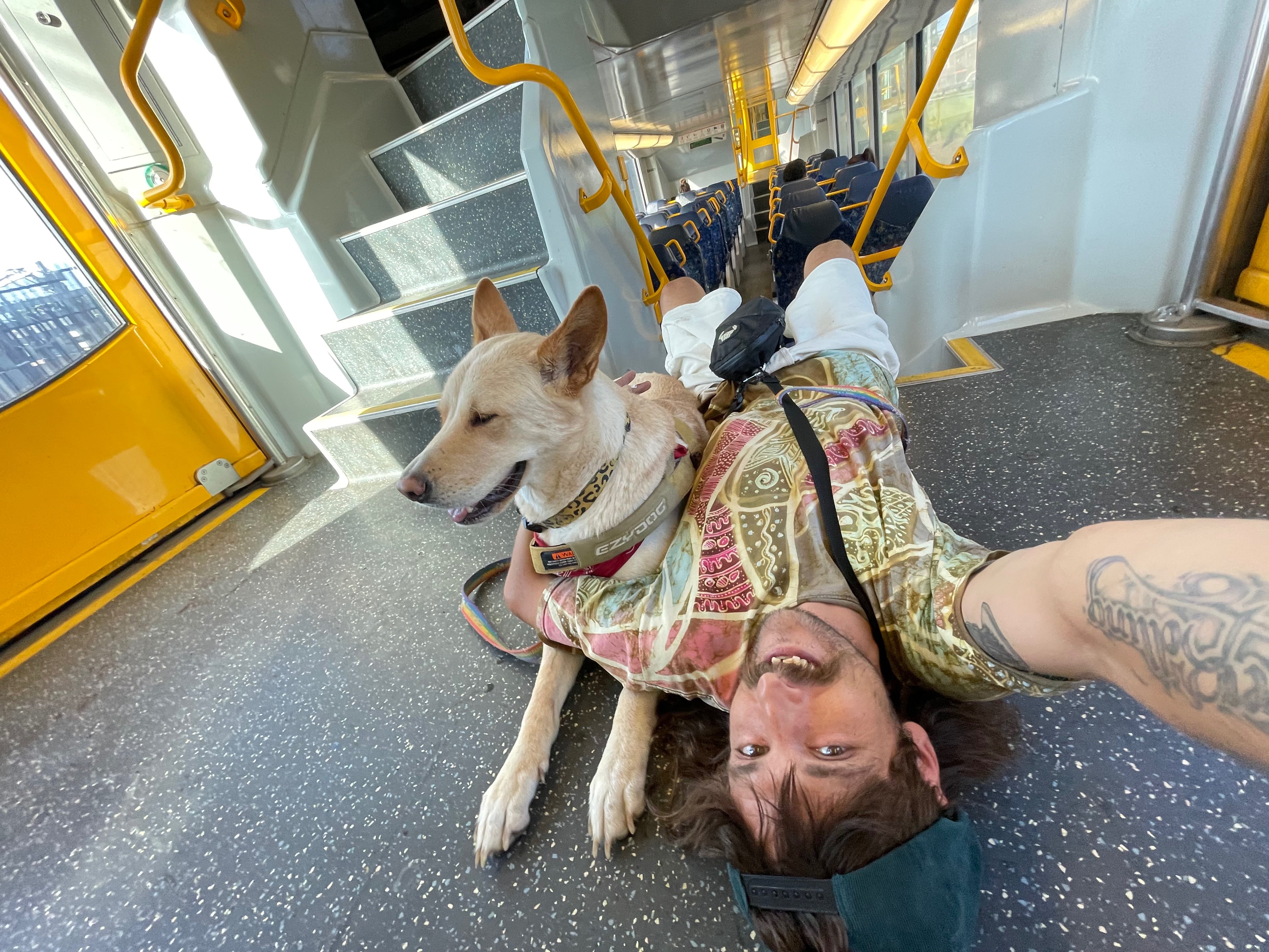 Nala needs us campaign photo, 2 of 7