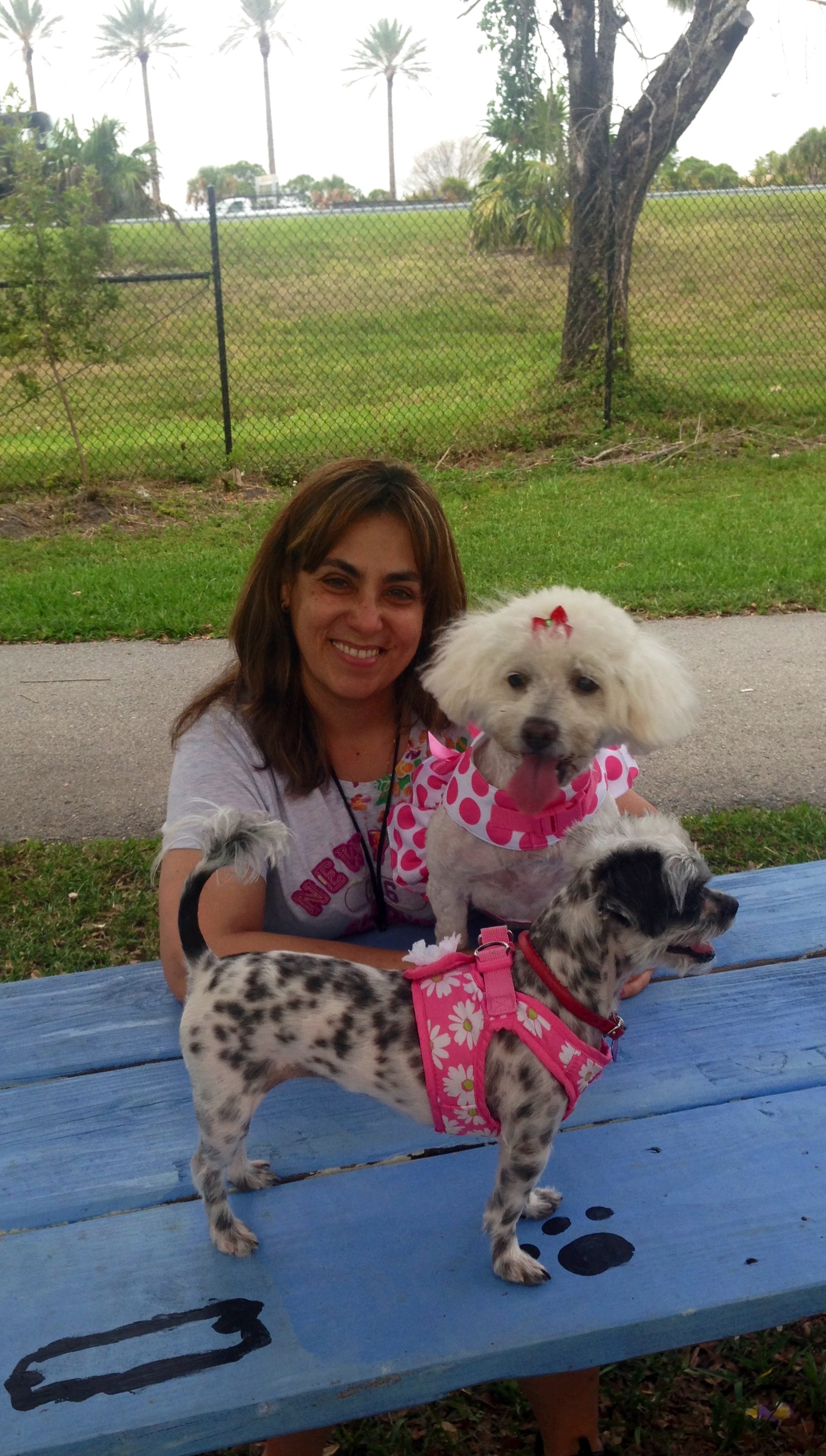 Help Maryky Save Her Car & Rebuild Her Life campaign photo, 7 of 8