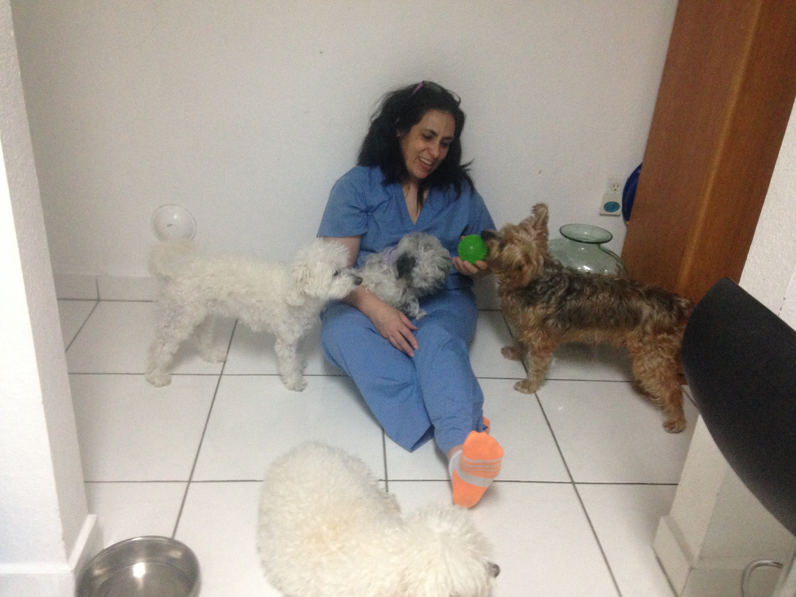 Help Maryky Save Her Car & Rebuild Her Life campaign photo, 2 of 8