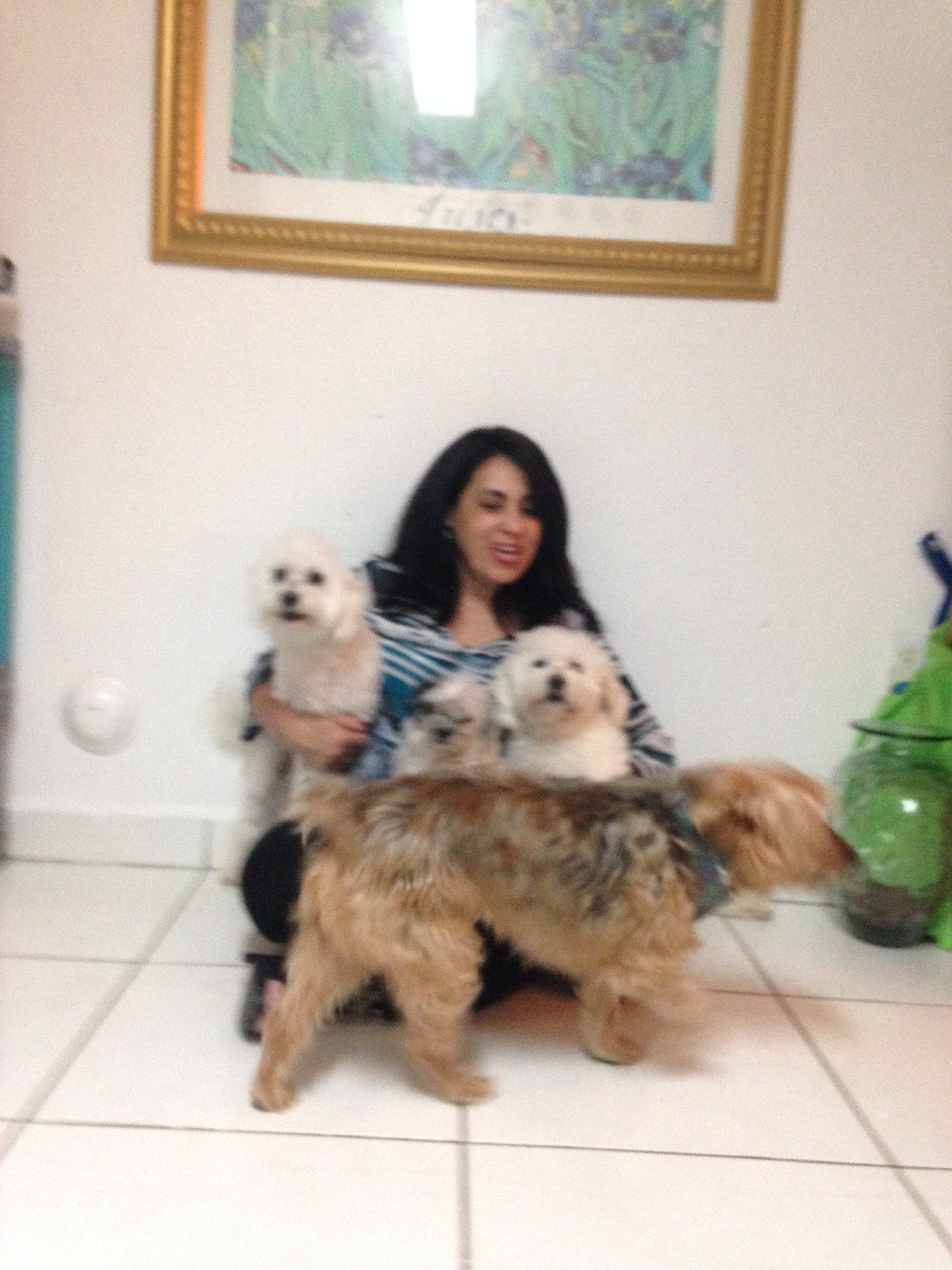 Help Maryky Save Her Car & Rebuild Her Life campaign photo, 6 of 8