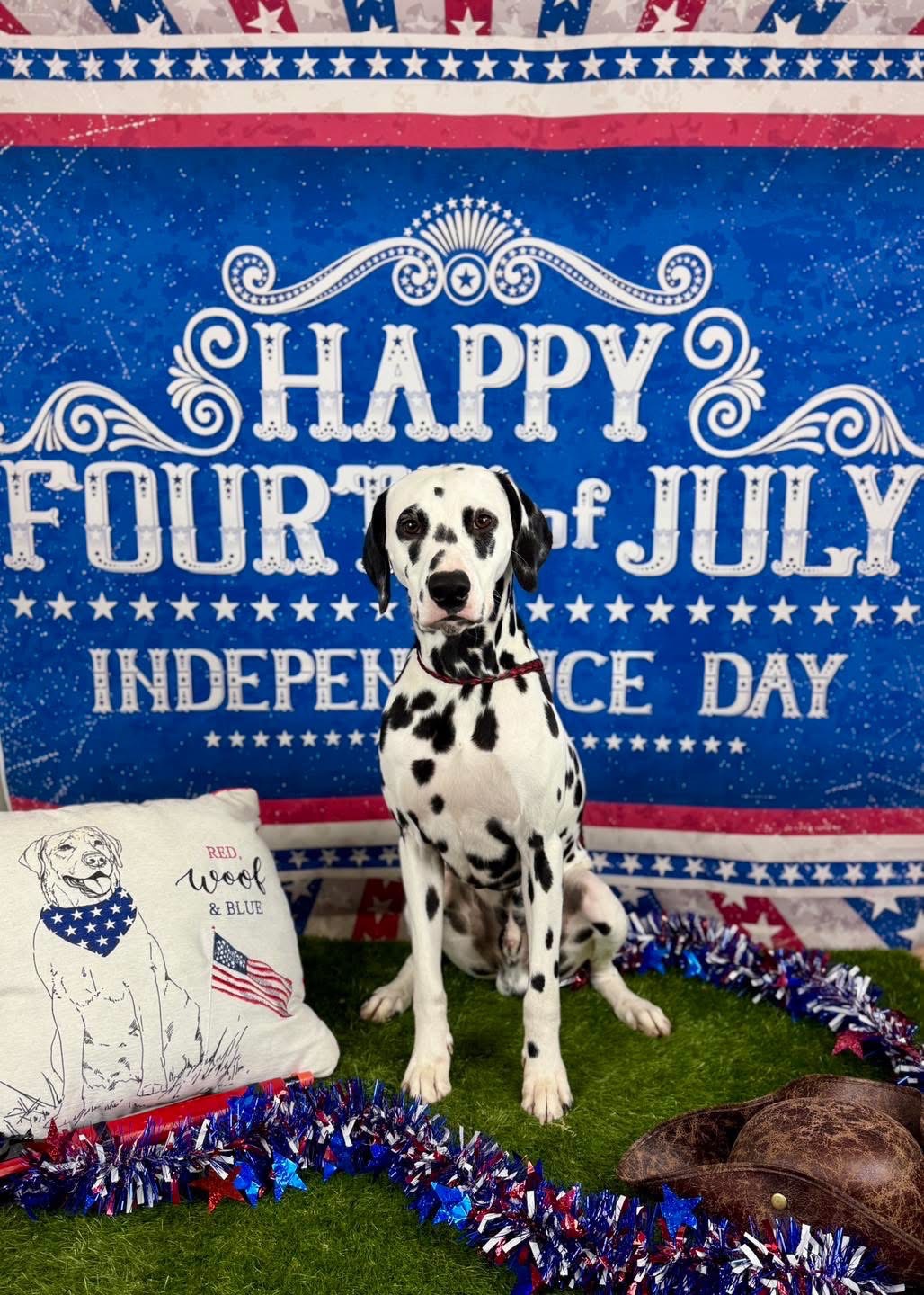 Help Oakley Get Life-Saving Surgery campaign photo, 7 of 8