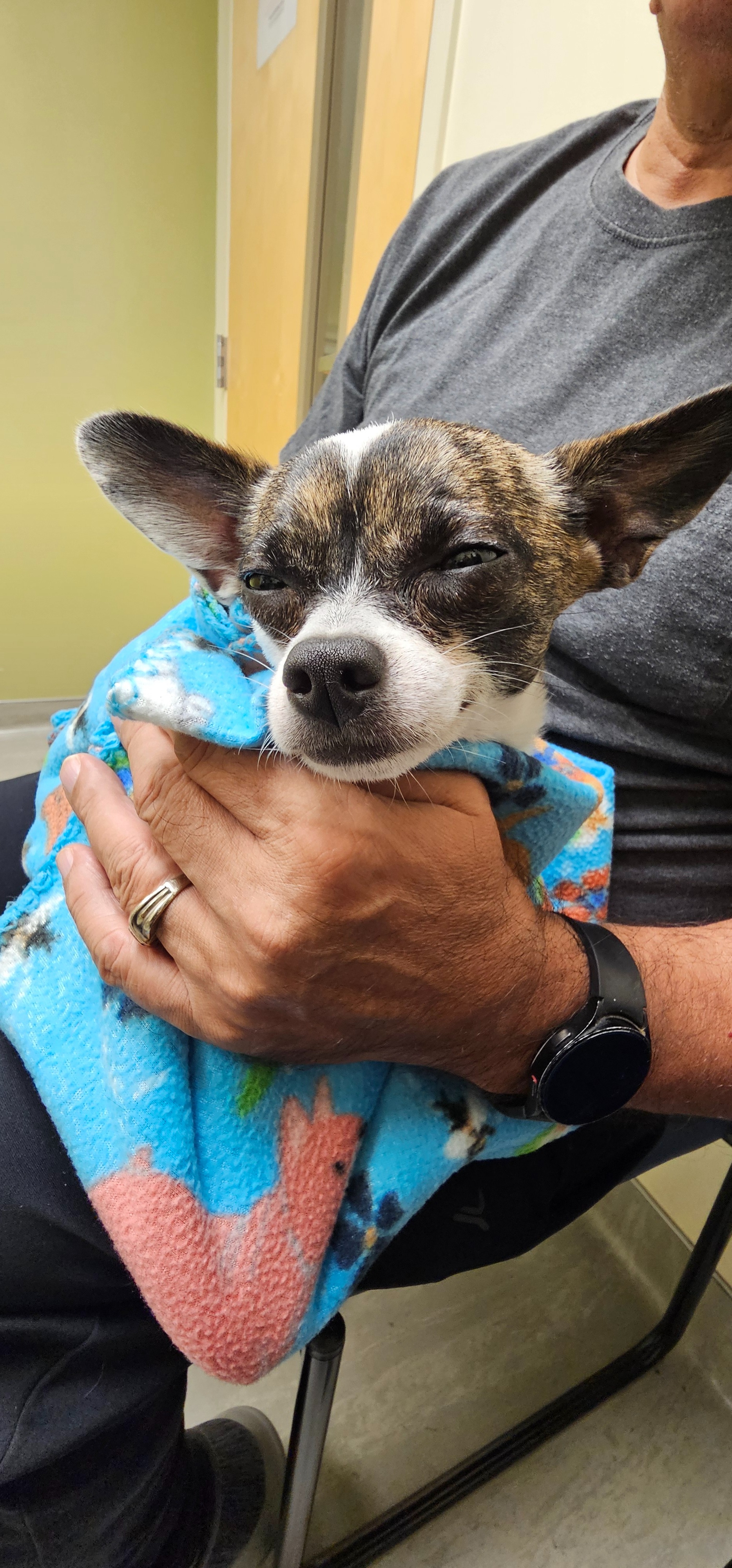 For the Love of Mickey: Help Our Rescue Heal campaign photo, 5 of 8