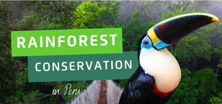 Help Ben Protect Endangered Wildlife in the Amazon campaign photo, 7 of 8