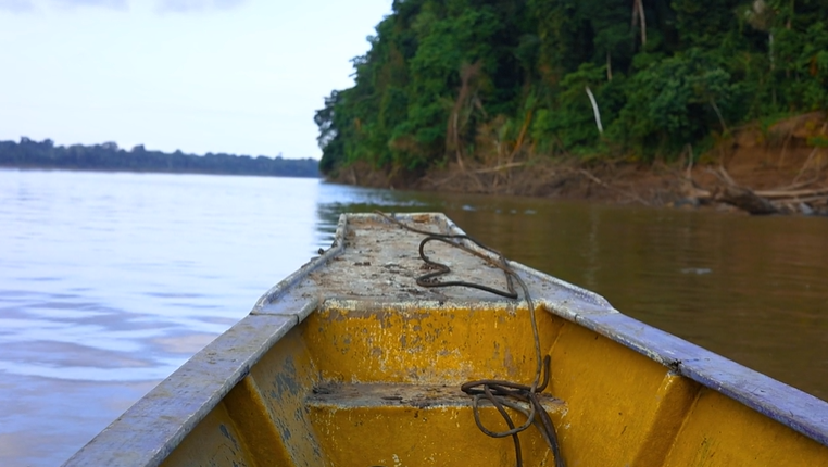 Help Ben Protect Endangered Wildlife in the Amazon campaign photo, 4 of 8