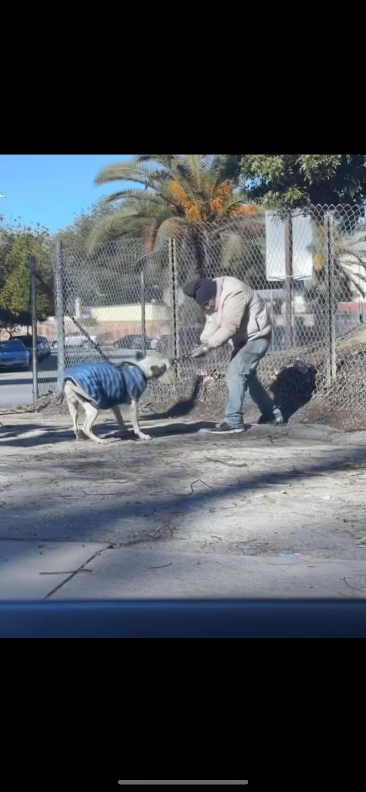 Support Housing for a Homeless Man and His Pitbull campaign photo, 5 of 7