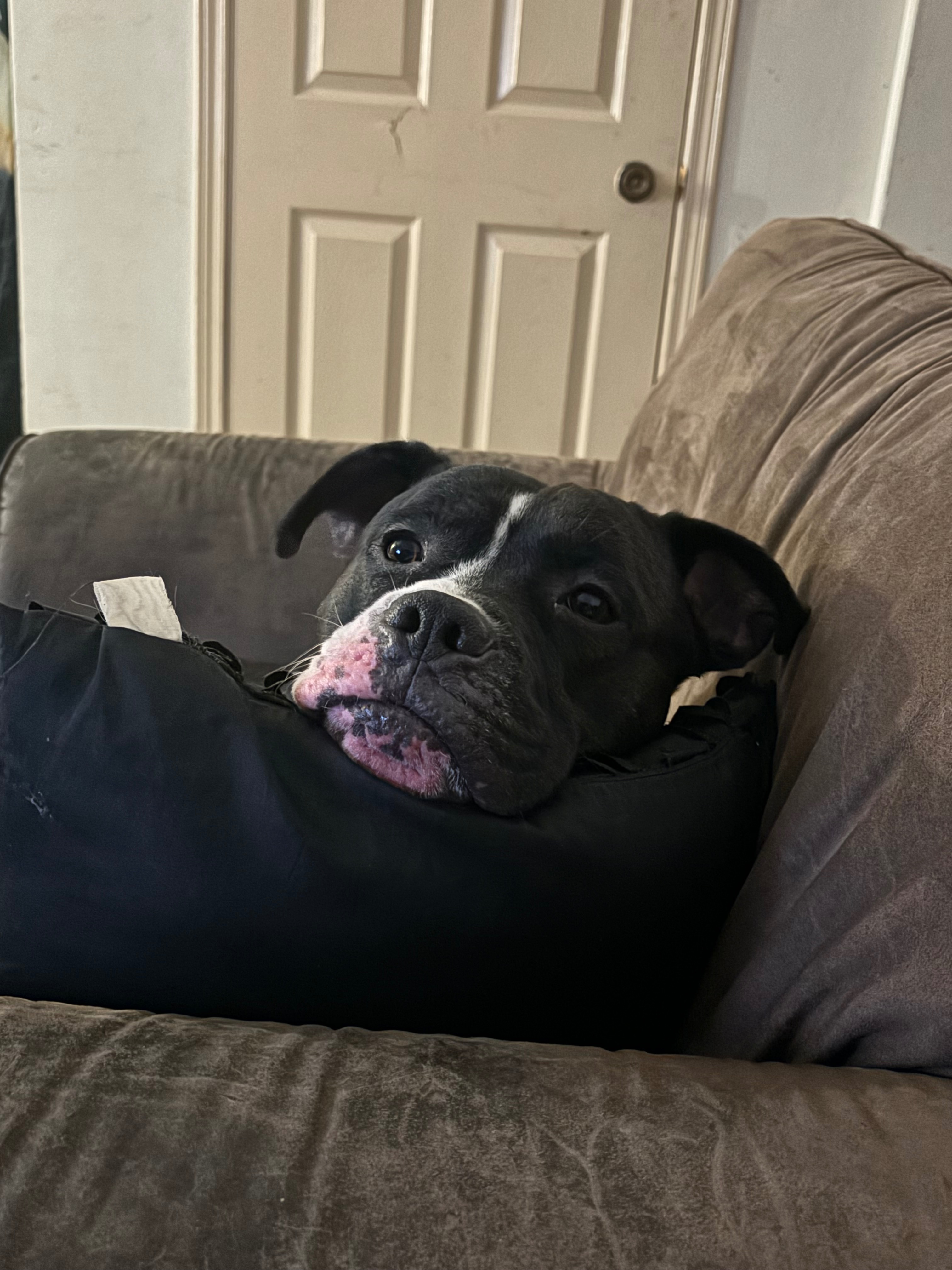 Help Support Cash’s Condition campaign photo, 7 of 8