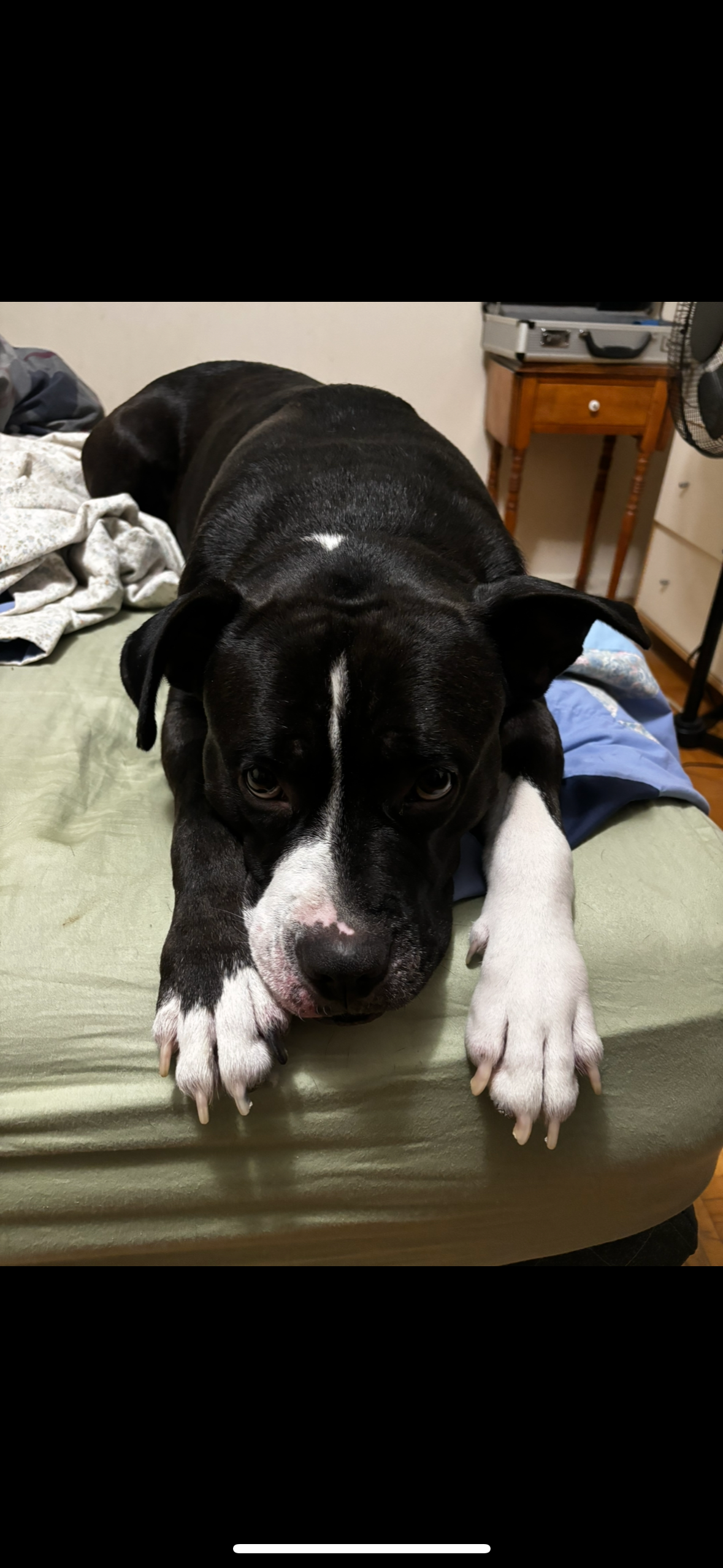 Help Support Cash’s Condition campaign photo, 2 of 8