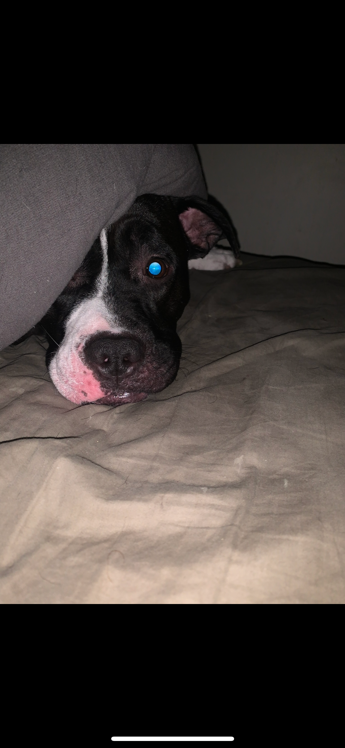 Help Support Cash’s Condition campaign photo, 6 of 8