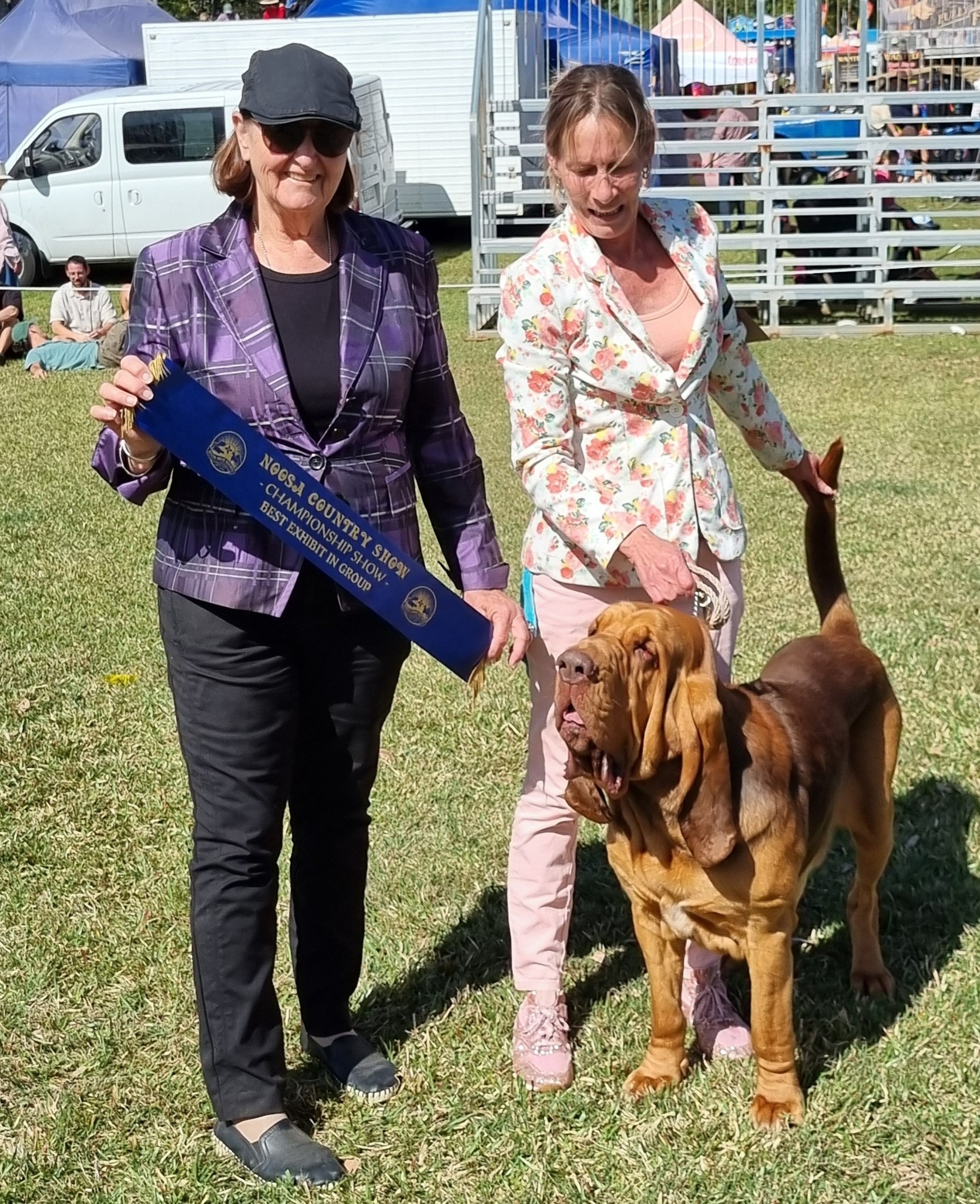 Help required to look after animals for owner passing away campaign photo, 2 of 4