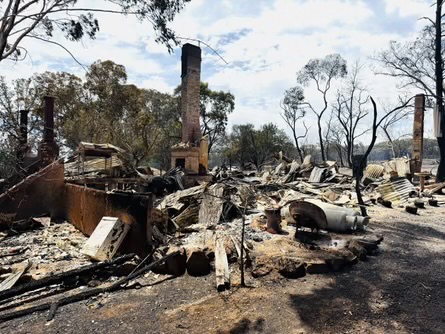 2026 Victorian Bush Fire Relief campaign photo, 7 of 8