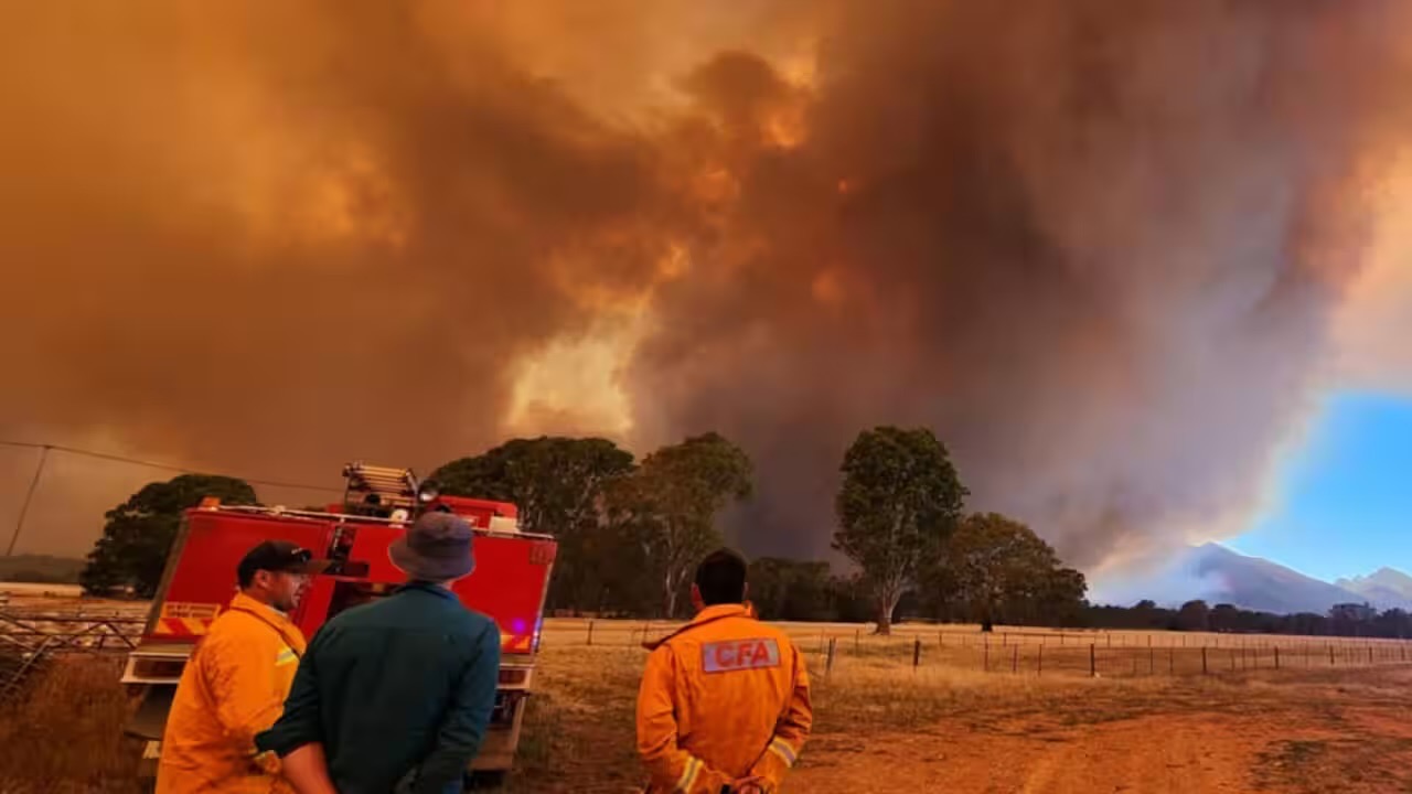2026 Victorian Bush Fire Relief campaign photo, 2 of 8