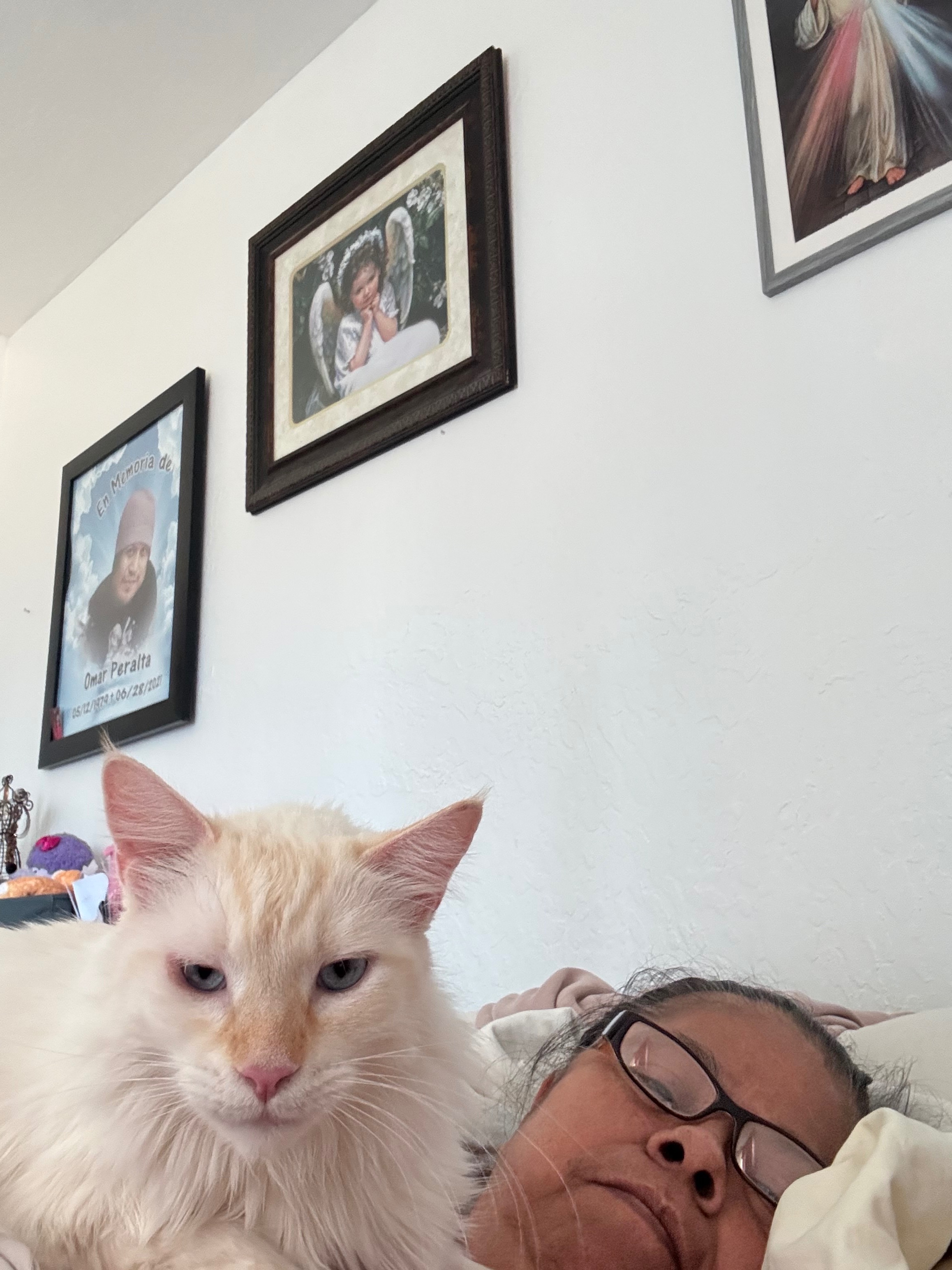 Support Queso’s Urgent Surgery Fund campaign photo, 4 of 8