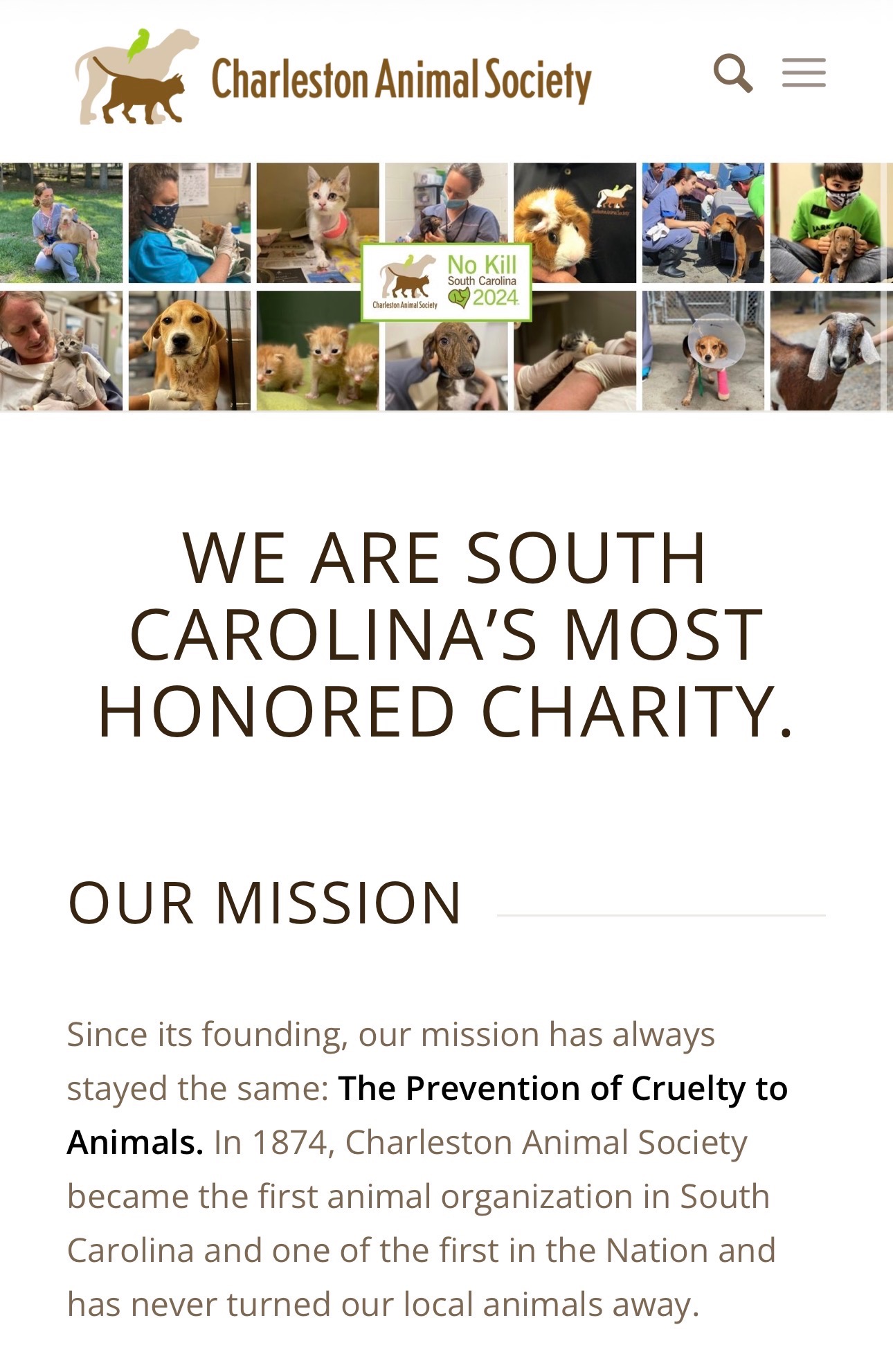 Teaching Care Early: Charleston Animal Society Fundraiser campaign photo, 7 of 8