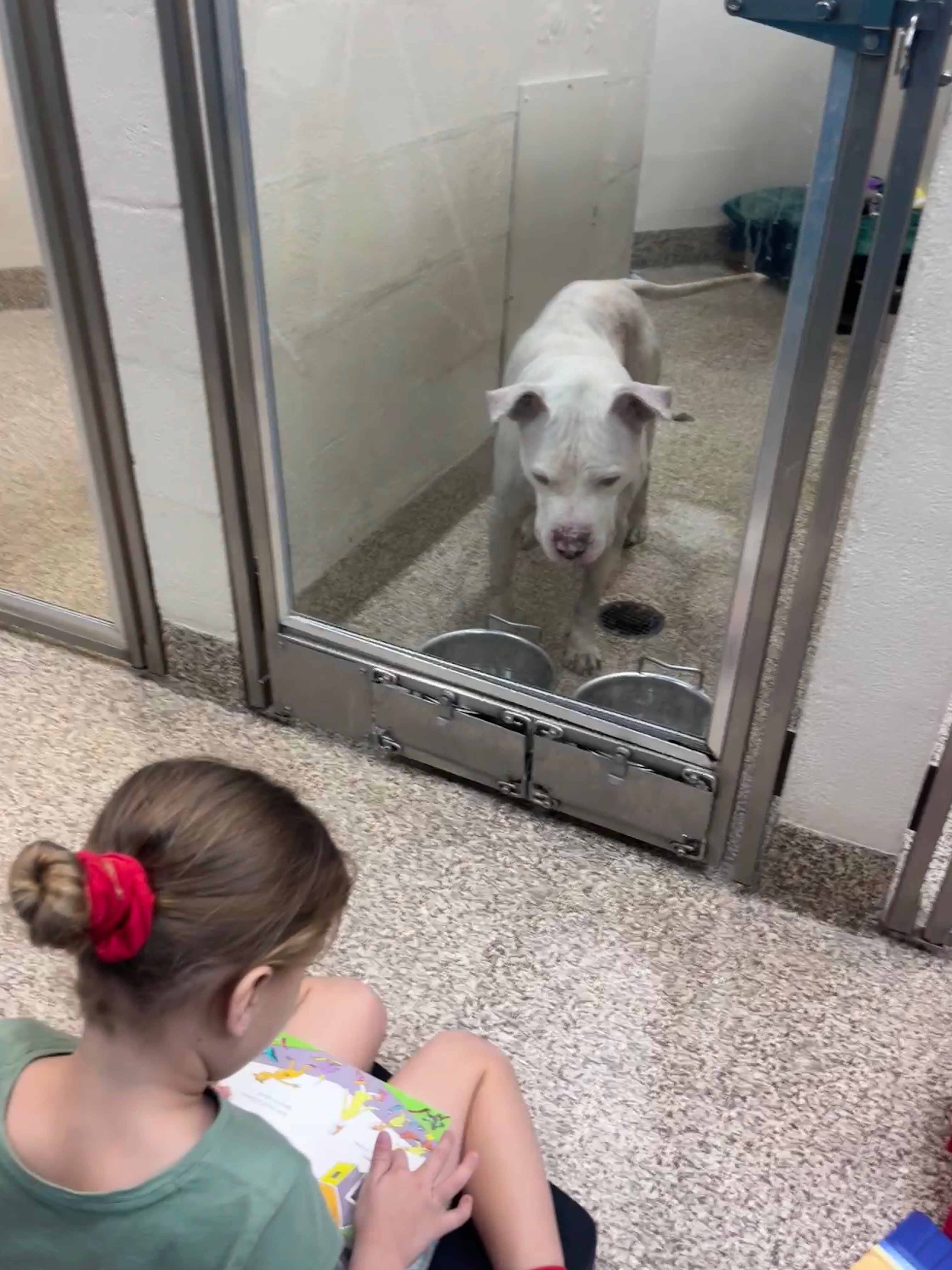 Teaching Care Early: Charleston Animal Society Fundraiser campaign photo, 2 of 8