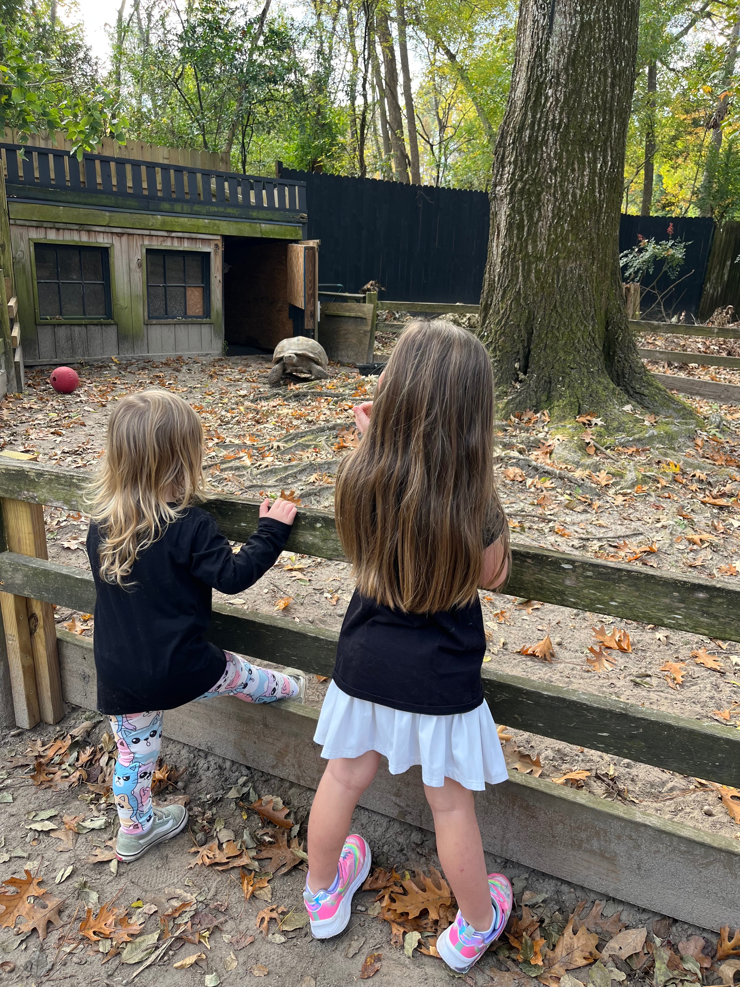 Teaching Care Early: Charleston Animal Society Fundraiser campaign photo, 5 of 8