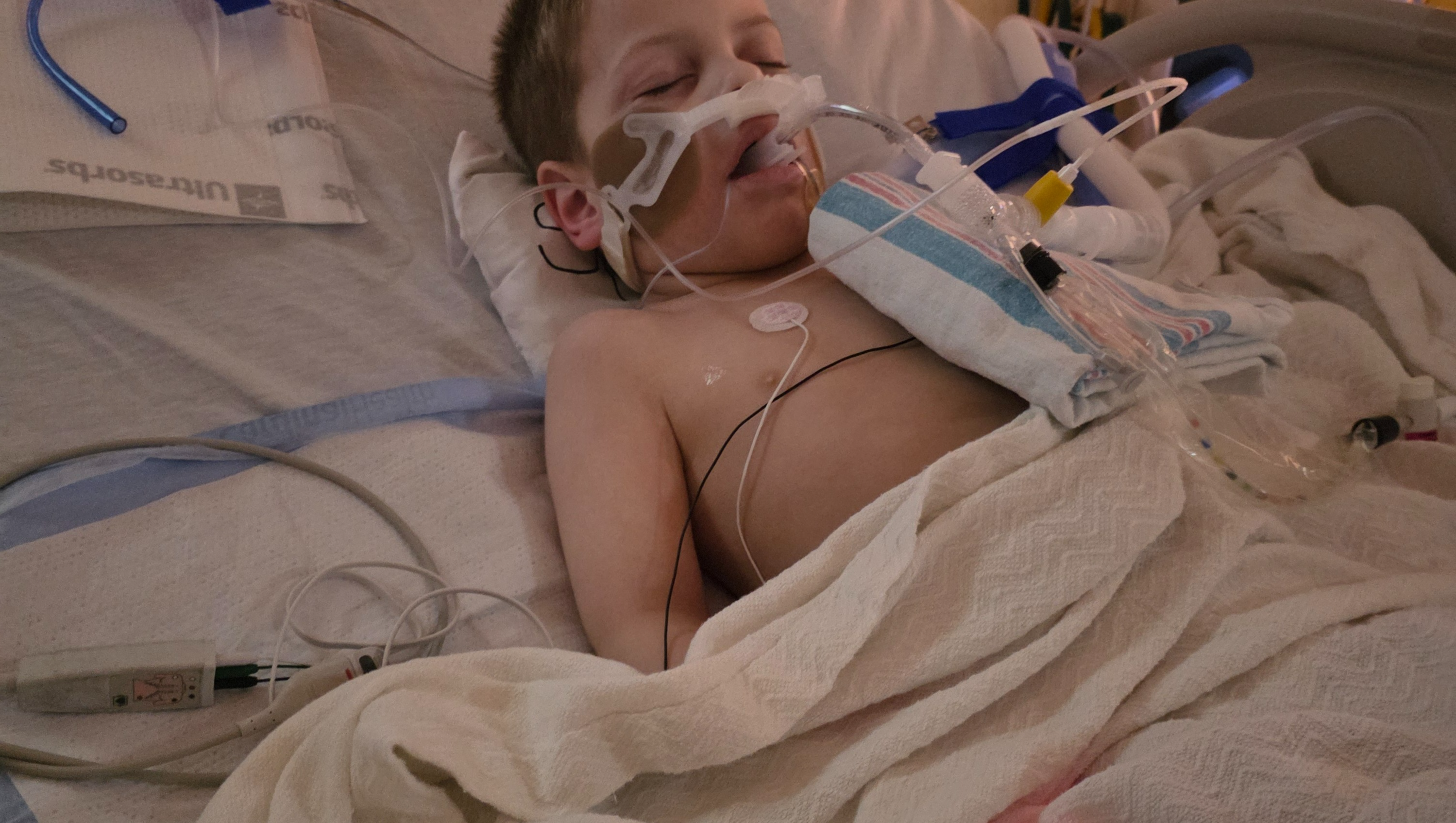 Service Dog for Conrad’s Safety & Mobility photo