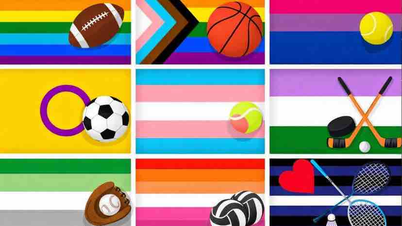 Support & donate to LGBTQ in youth sports ️‍‍ ️‍ pinned link photo