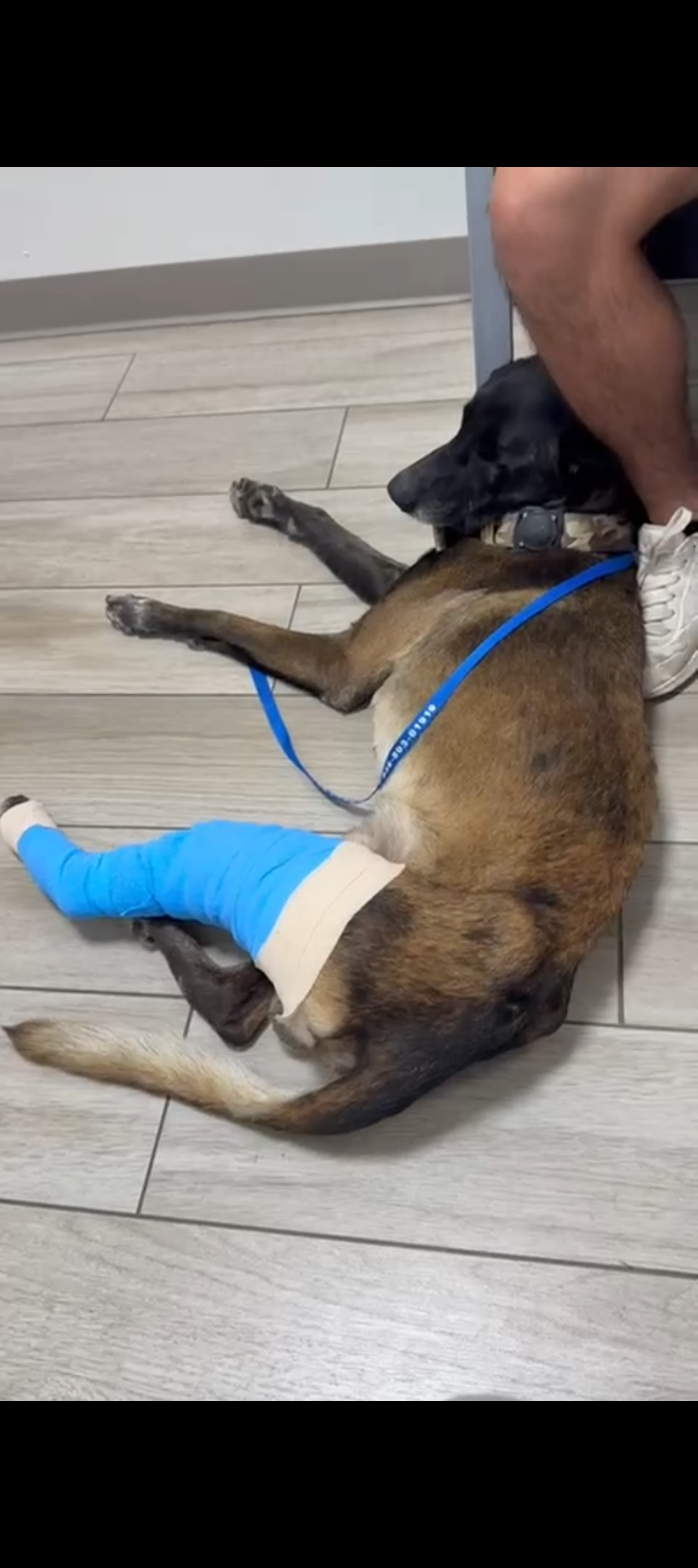 Support Juice’s Surgery After Being Shot campaign photo, 5 of 8
