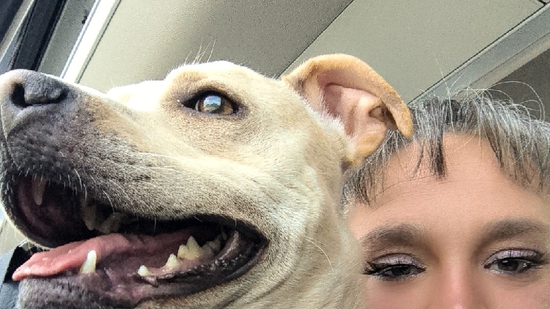 support needed for kandi's tragedy occurred