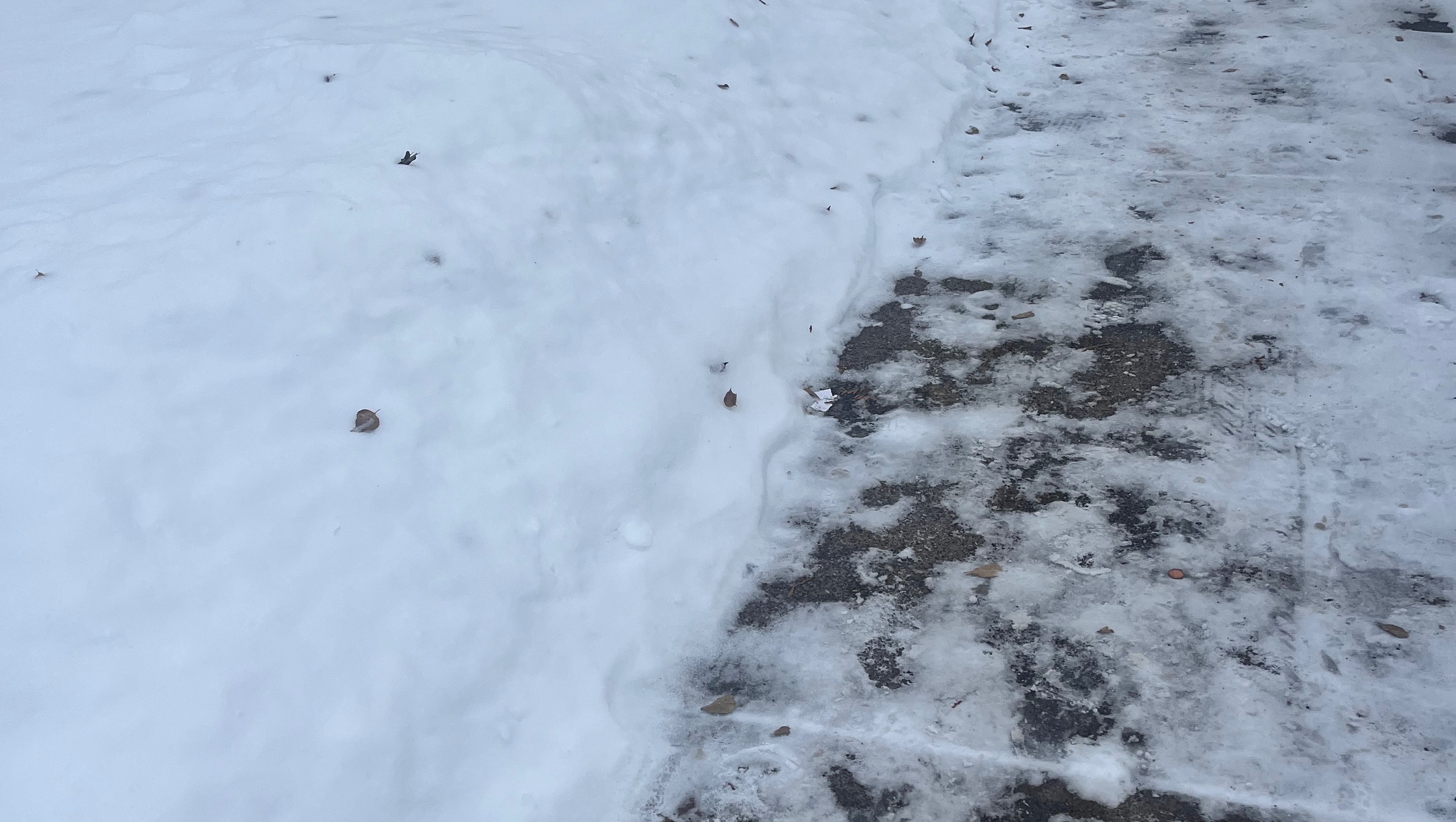 Help to relocate my family pinned link photo