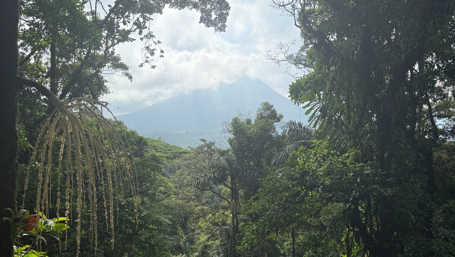 Fundraiser by Grace St John : Help Me Complete My Costa Rica Field ...