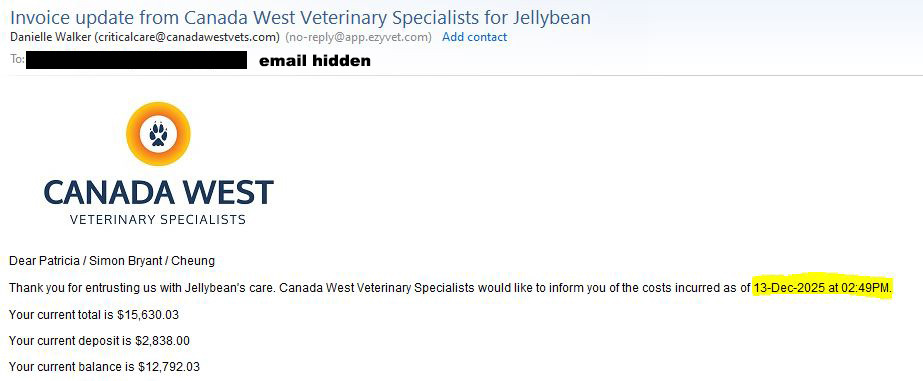 Please help Jellybean - double hospitalization campaign photo, 6 of 8