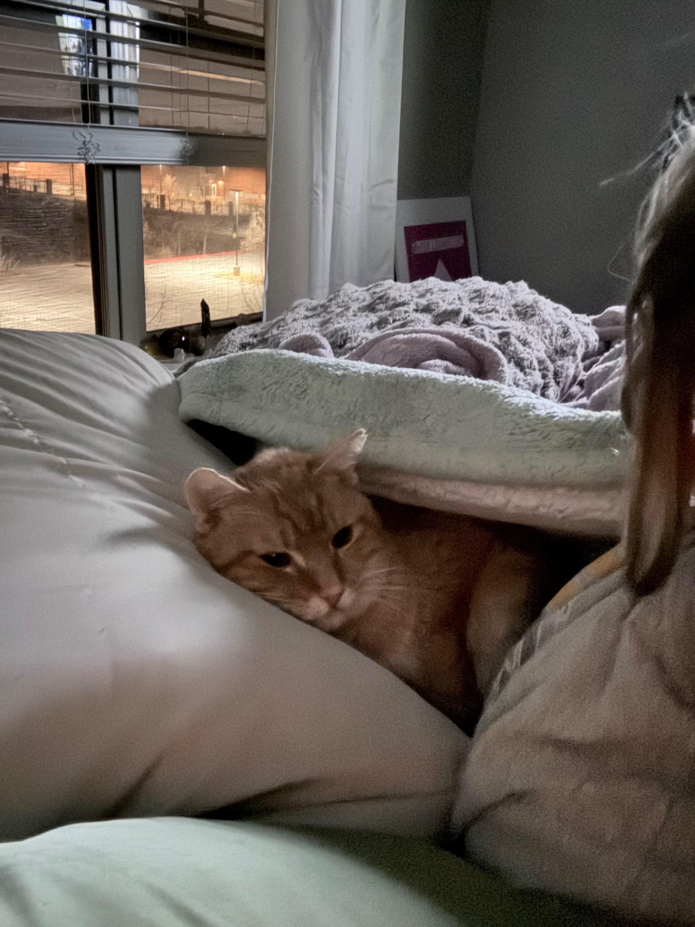 Help Shrimp Get His Life-Changing Surgery campaign photo, 7 of 8