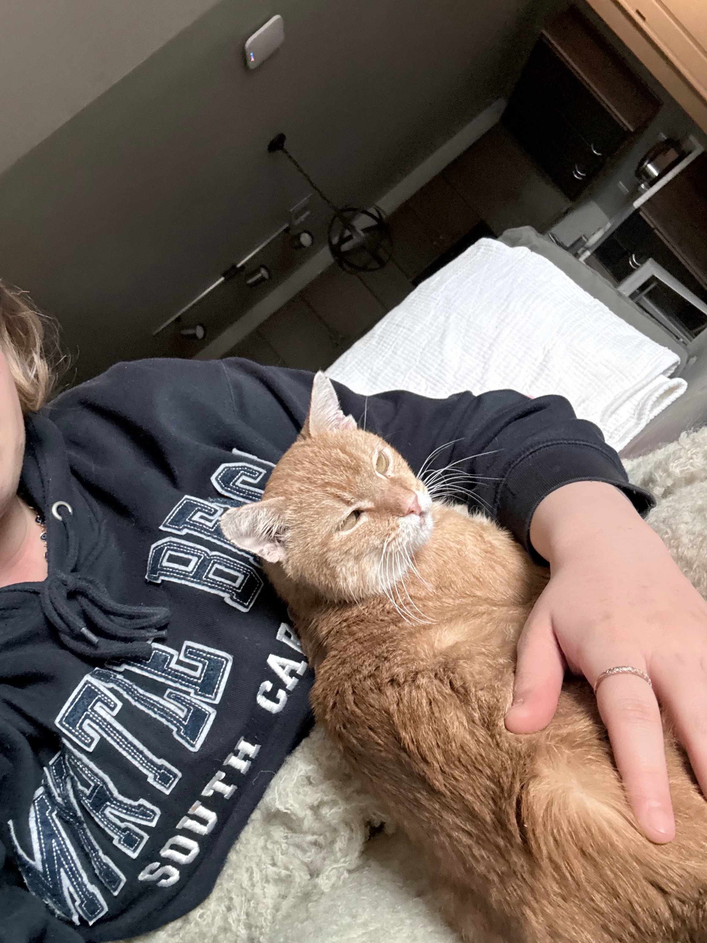 Help Shrimp Get His Life-Changing Surgery campaign photo, 4 of 8