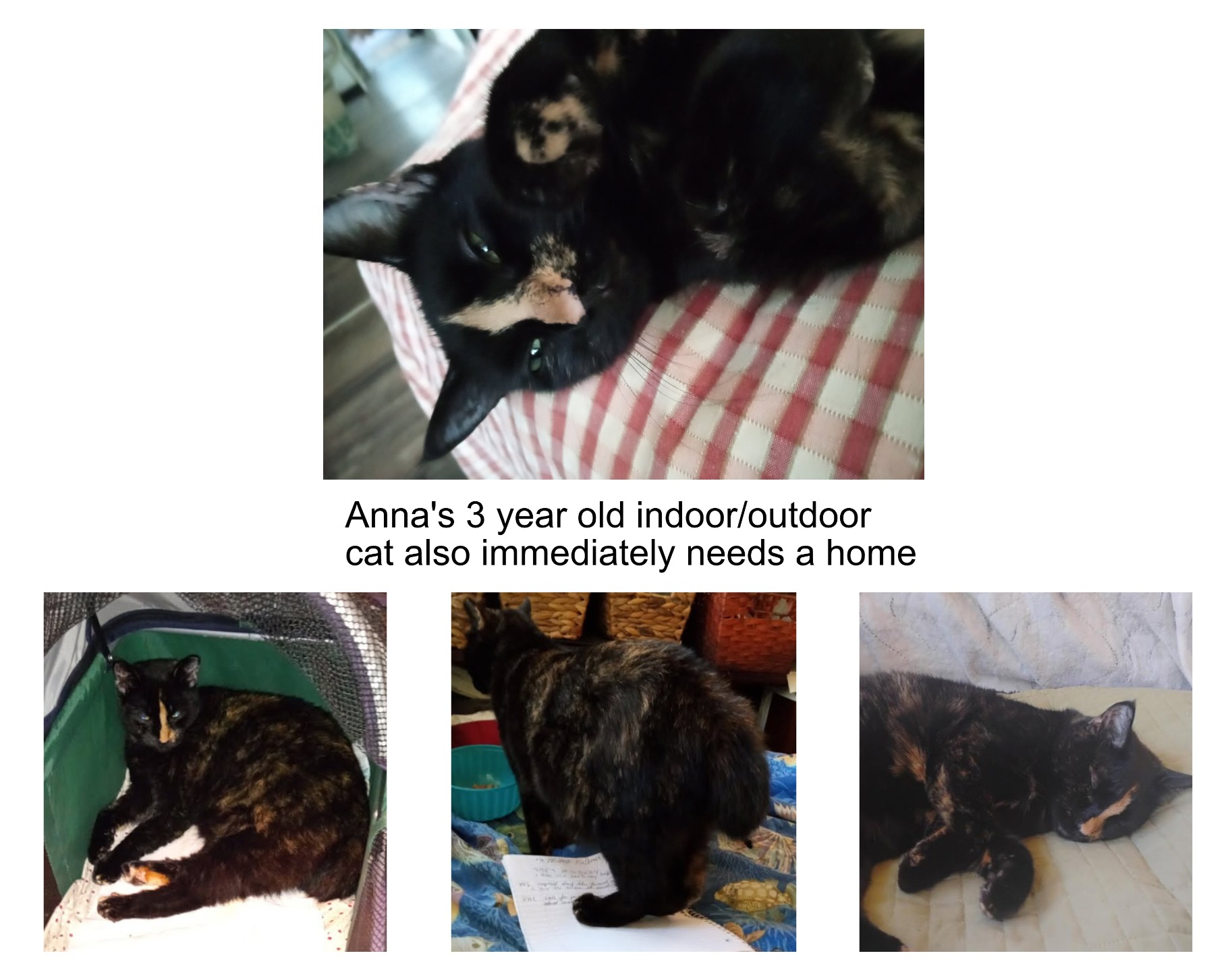 Please Help a 70-Year-Old Replace Essentials Lost in a Fire campaign photo, 6 of 8