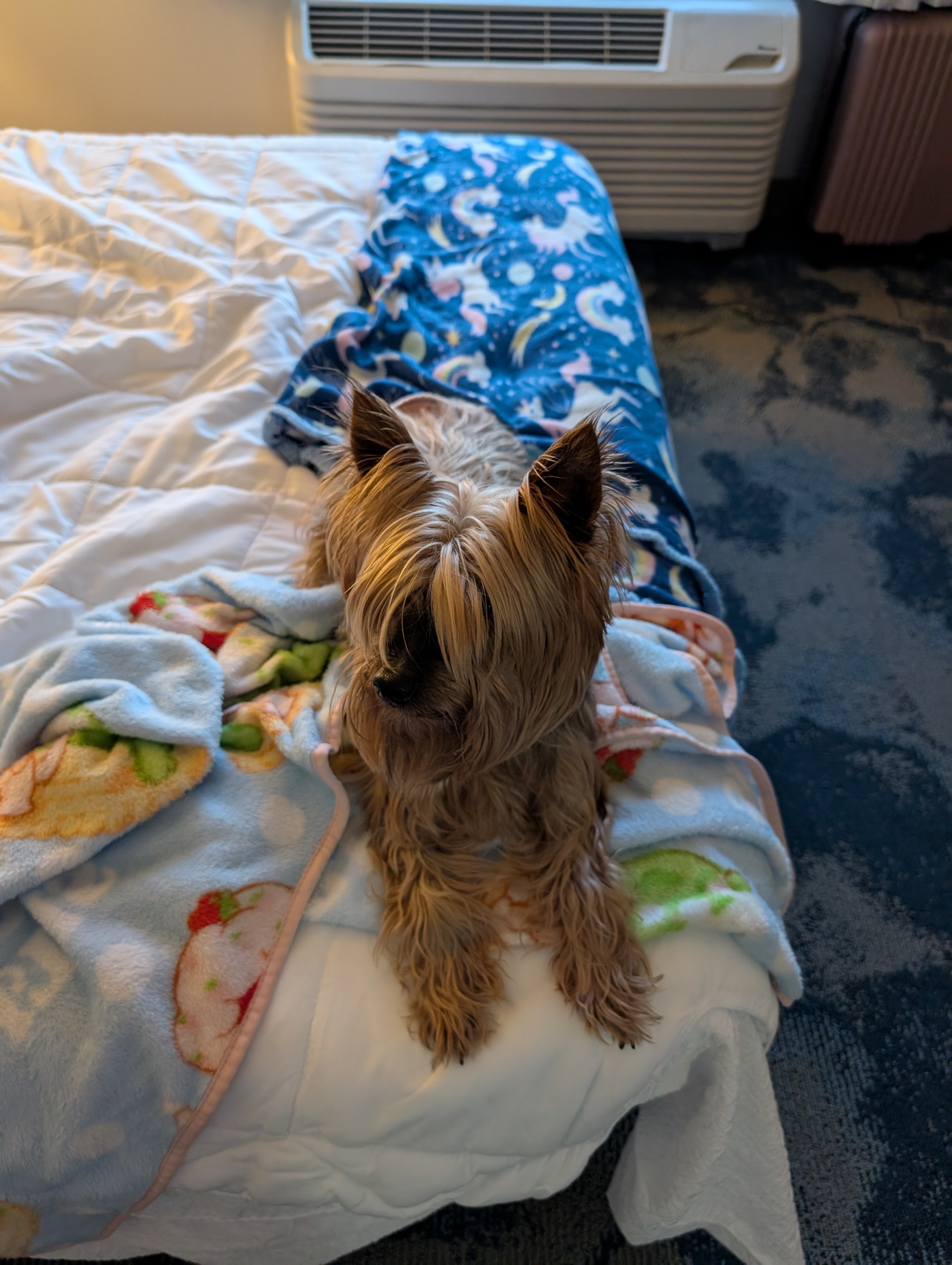 Help Jenny's Family Get Temporary Housing campaign photo, 2 of 4