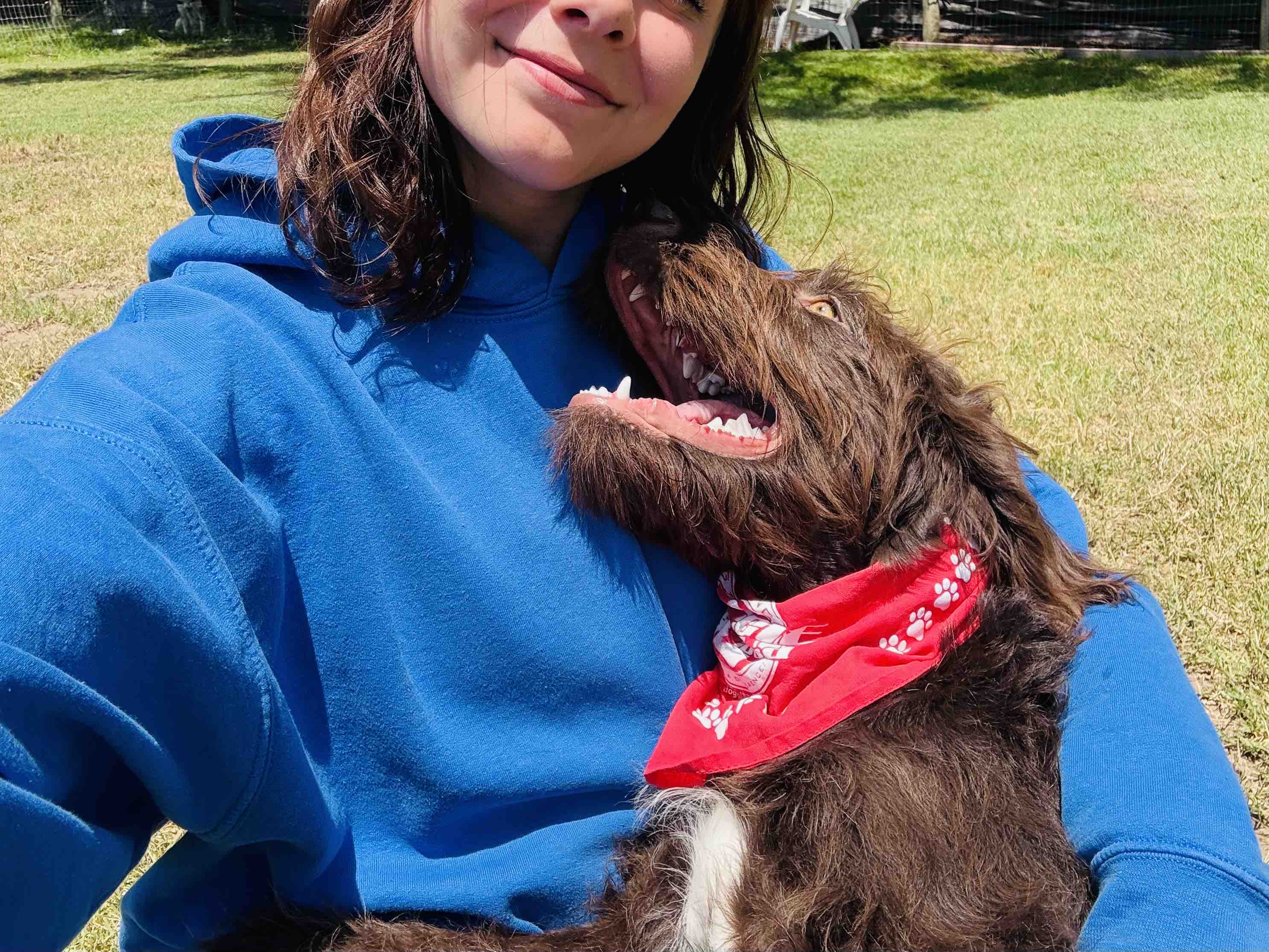 Help Misty Bring Home Rue, her Psychiatric Service Dog campaign photo, 6 of 8