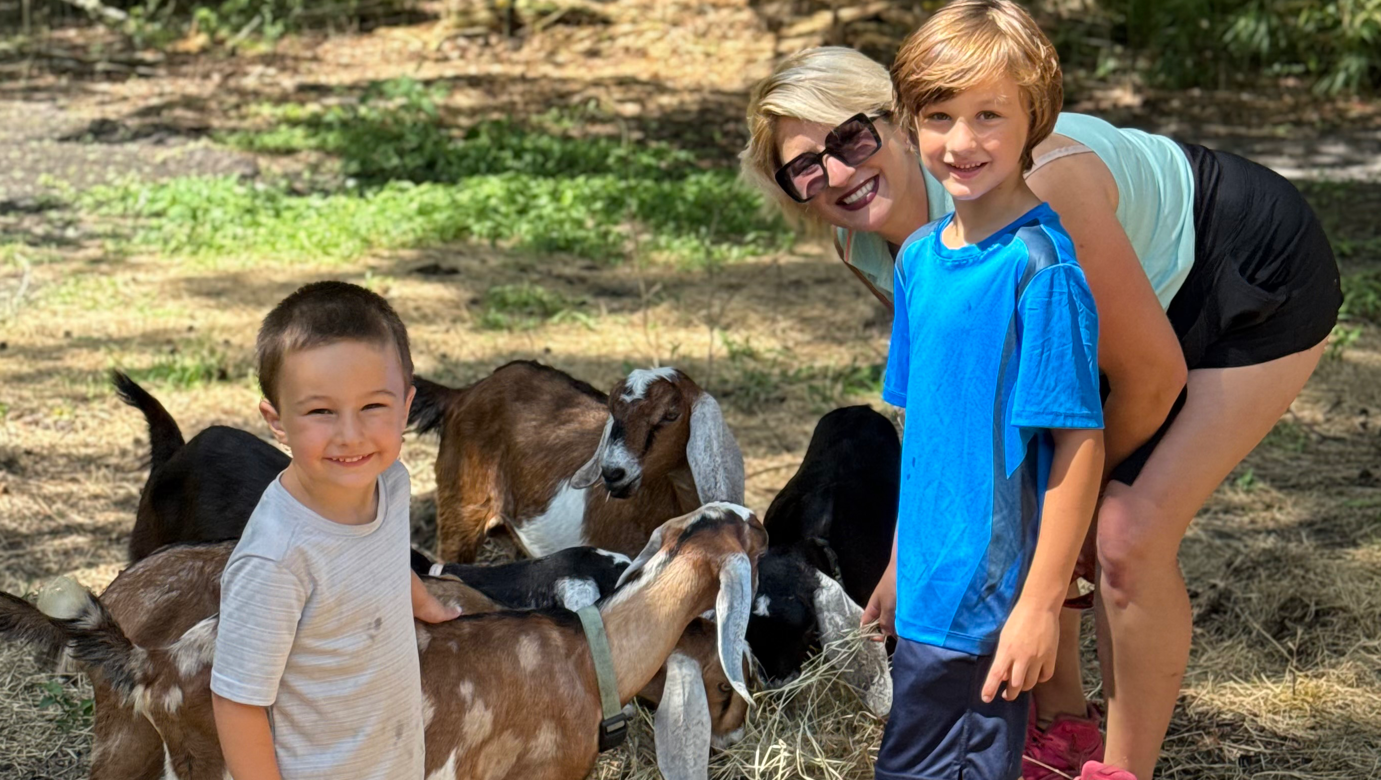 Support for Housing & Legal Needs While Rebuilding Stability photo