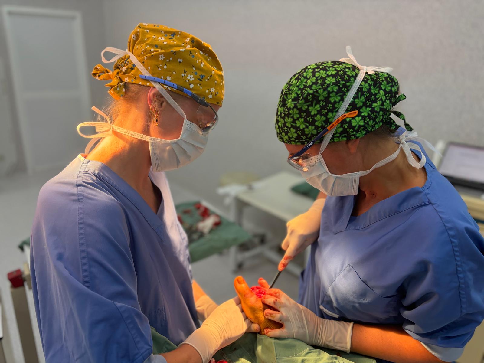 Doneer aan Quina Care voor Hospital San Miguel in Ecuador campaign photo, 7 of 13