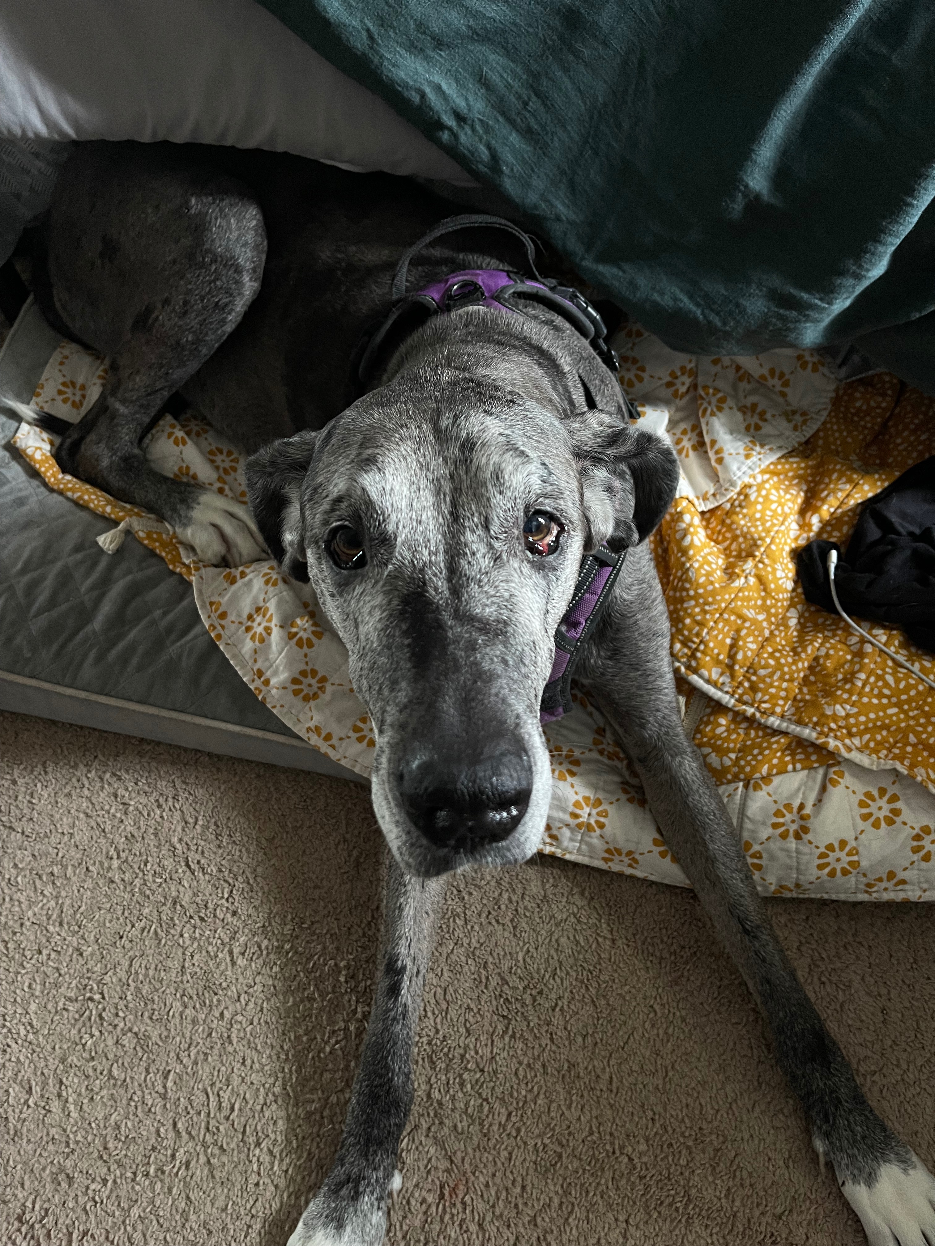 Help Mary Jane Get the Surgery She Needs campaign photo, 4 of 8