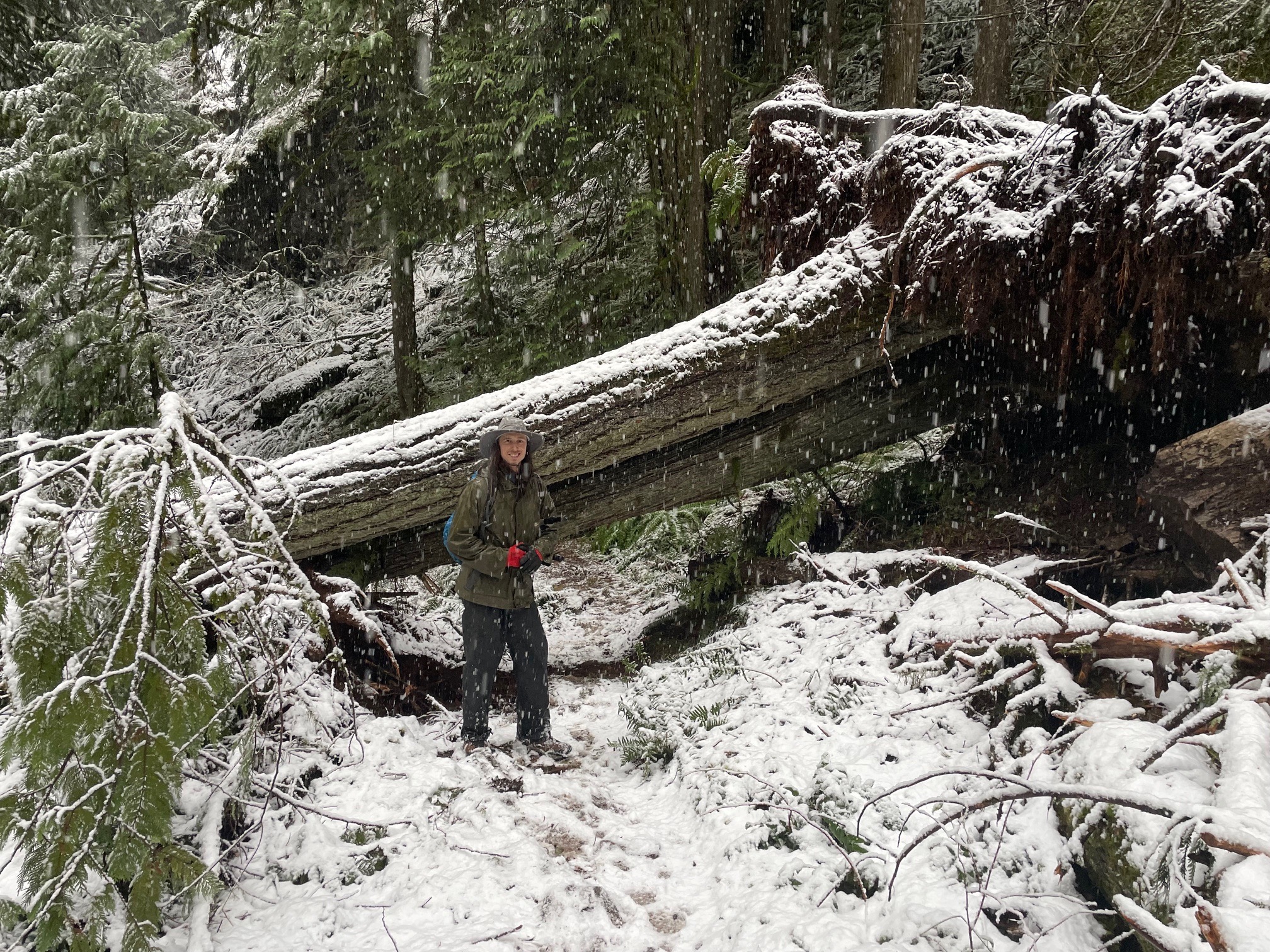 Hope Lookout Trail Repairs campaign photo, 6 of 7
