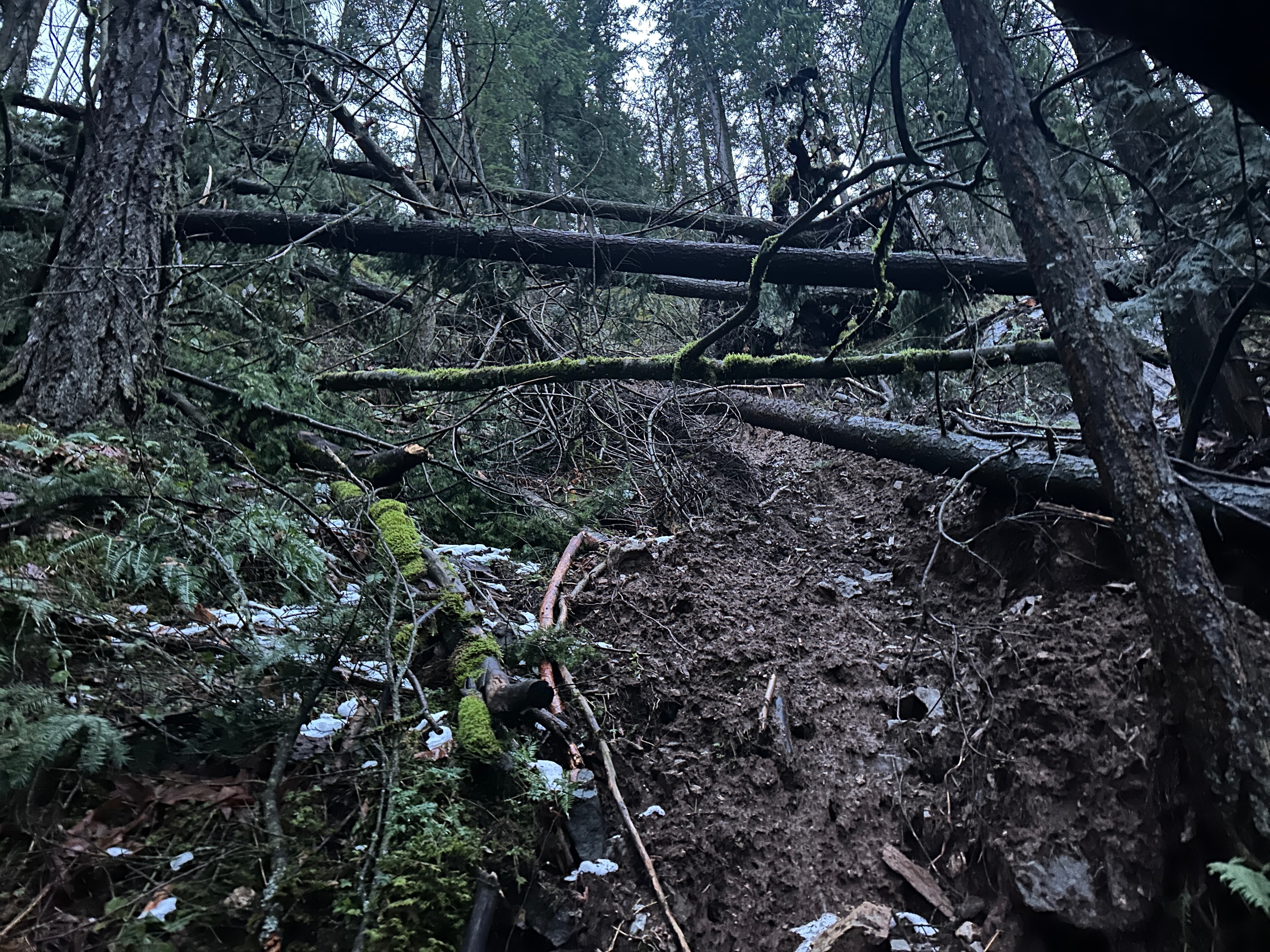 Hope Lookout Trail Repairs campaign photo, 4 of 7