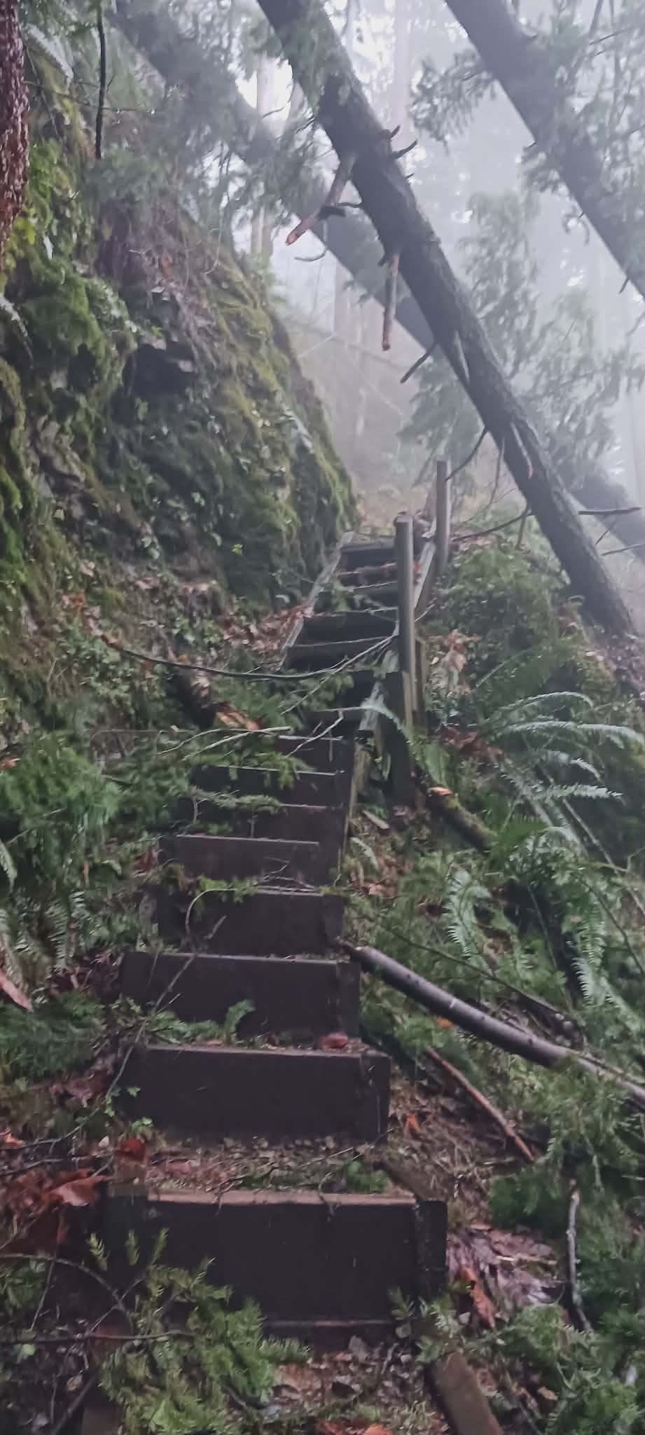 Hope Lookout Trail Repairs campaign photo, 5 of 7