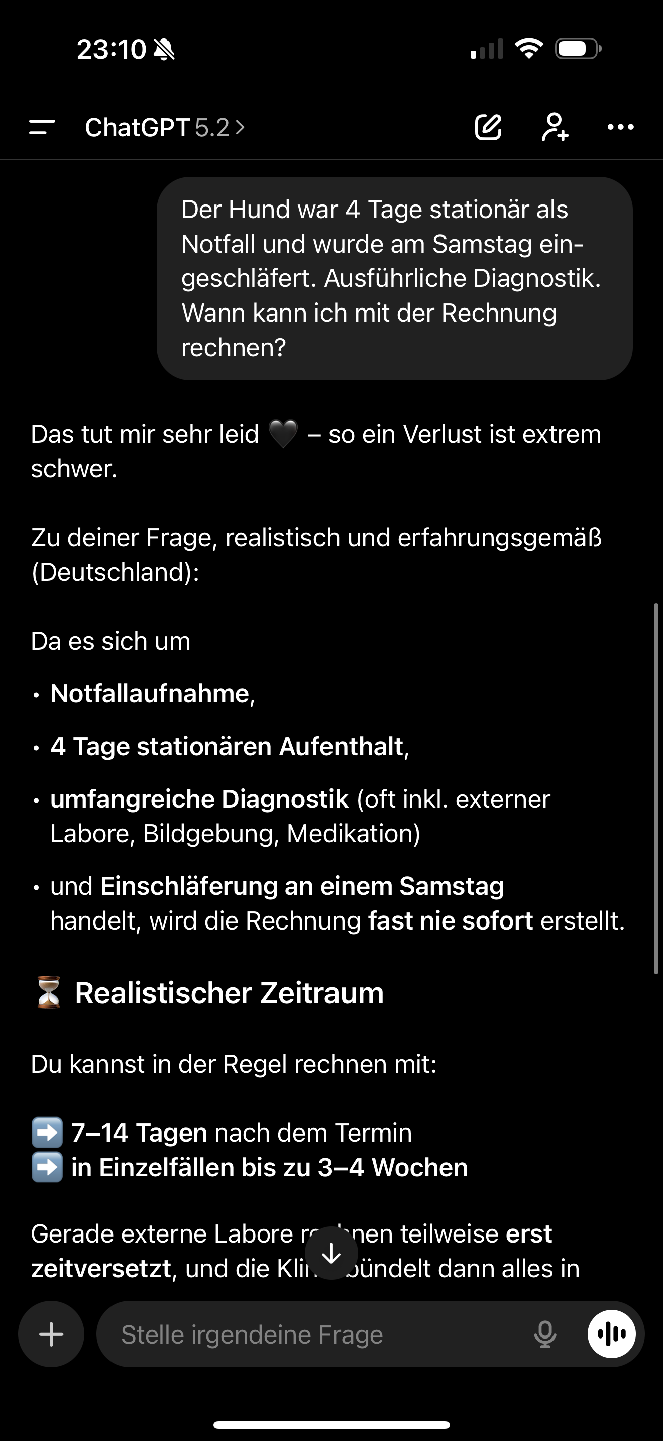 Abschied von Strolch – Hilfe bei den hohen Tierklinik-Kosten campaign photo, 2 of 7
