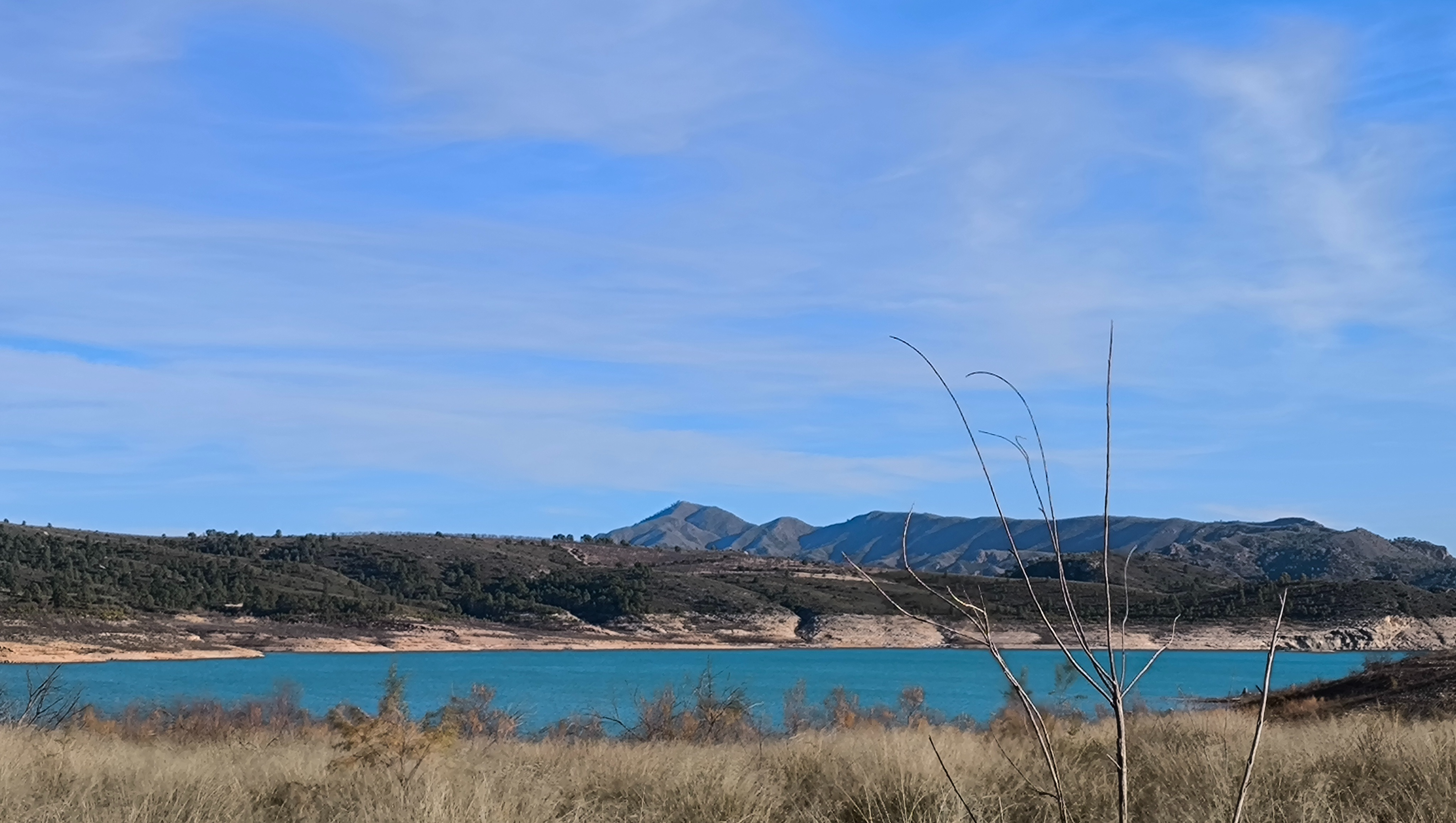 Cenajo Informe pericial ambiental para detectar posible daño