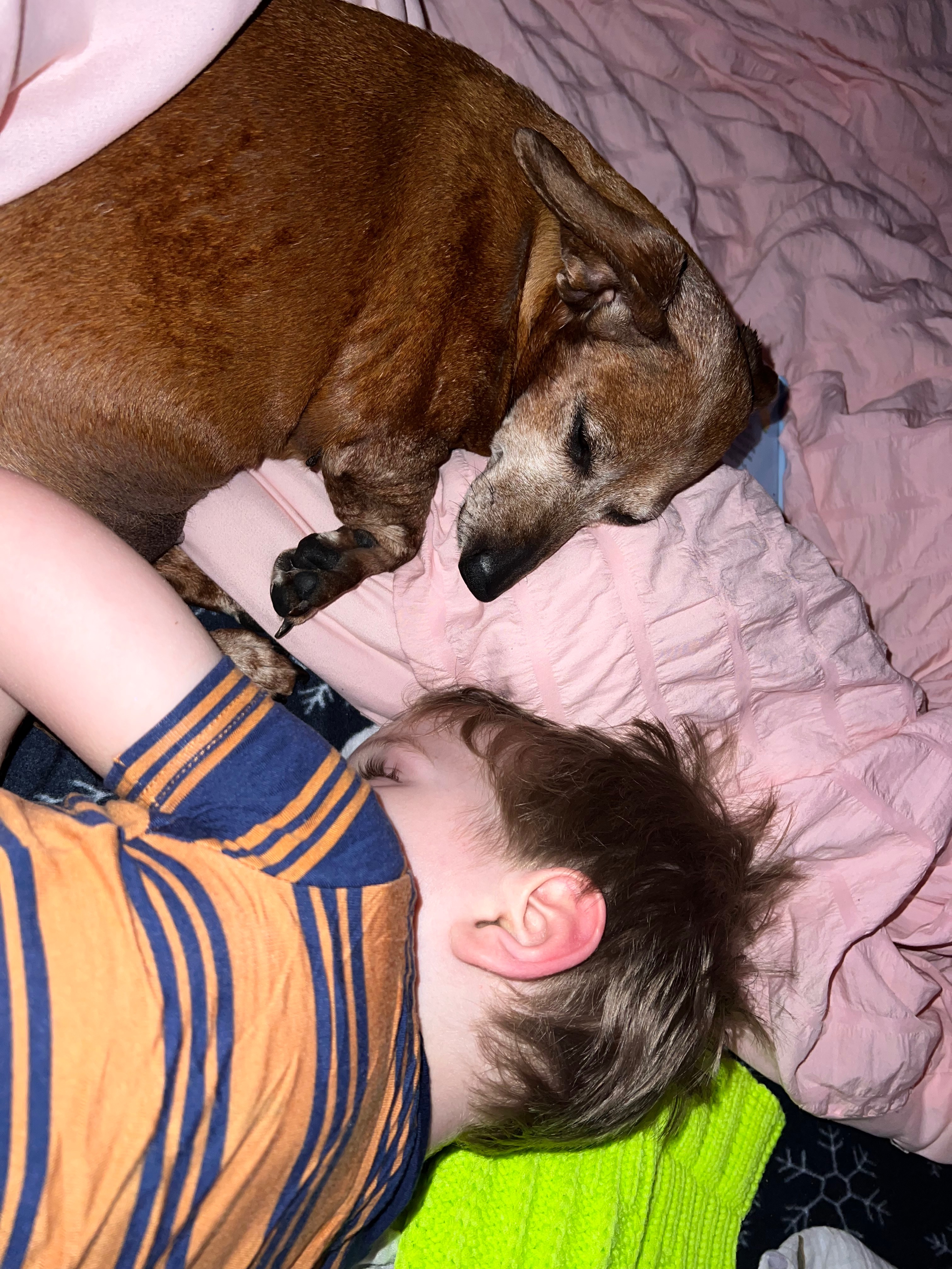 Support Dolly Mae's Lifesaving Treatment campaign photo, 5 of 8