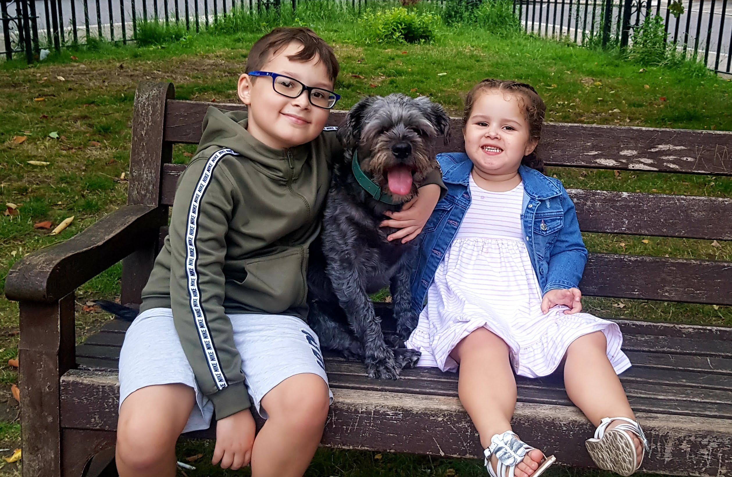 Please help prevent amputation & Donate to Buddy's surgery campaign photo, 6 of 7