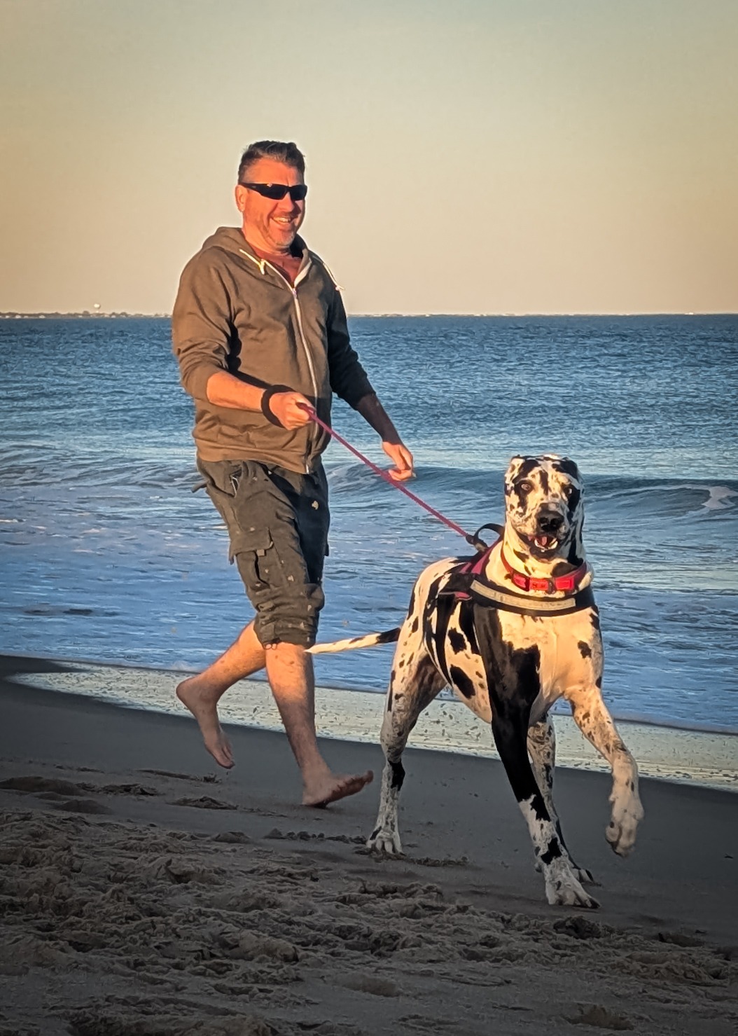 Help Save Pepper, Our Beloved Great Dane campaign photo, 4 of 8