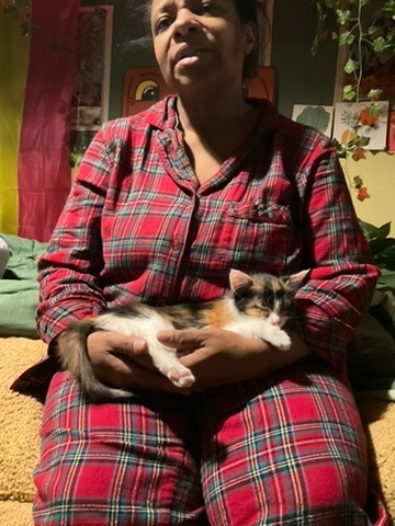 In Memory of Nola: Help Cats Fighting FIP campaign photo, 5 of 7