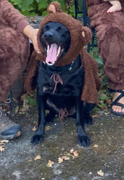 Swim Therapy for Katara to Heal and Play Again campaign photo, 6 of 7
